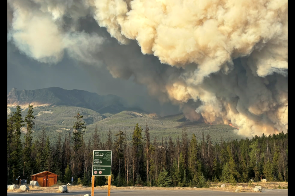Is a Burned Forest Dead Forever?
