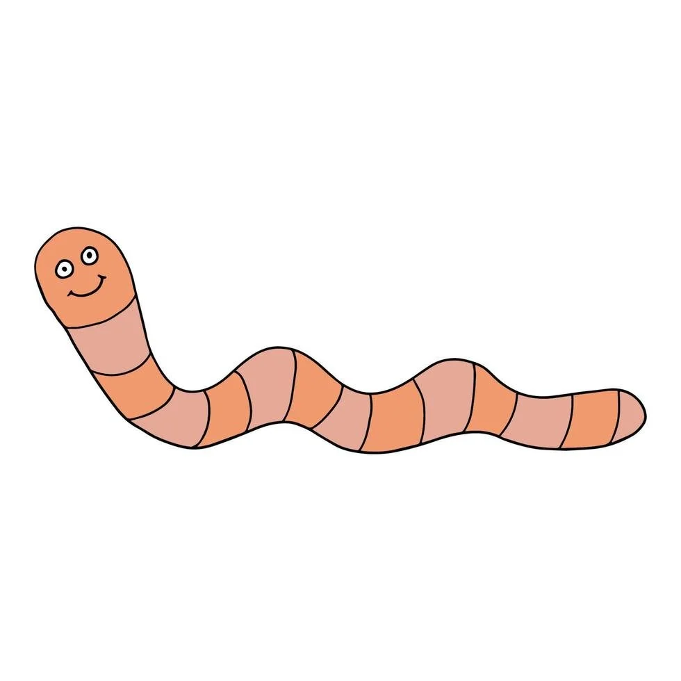 Why are worms all over the pavement after it rains?