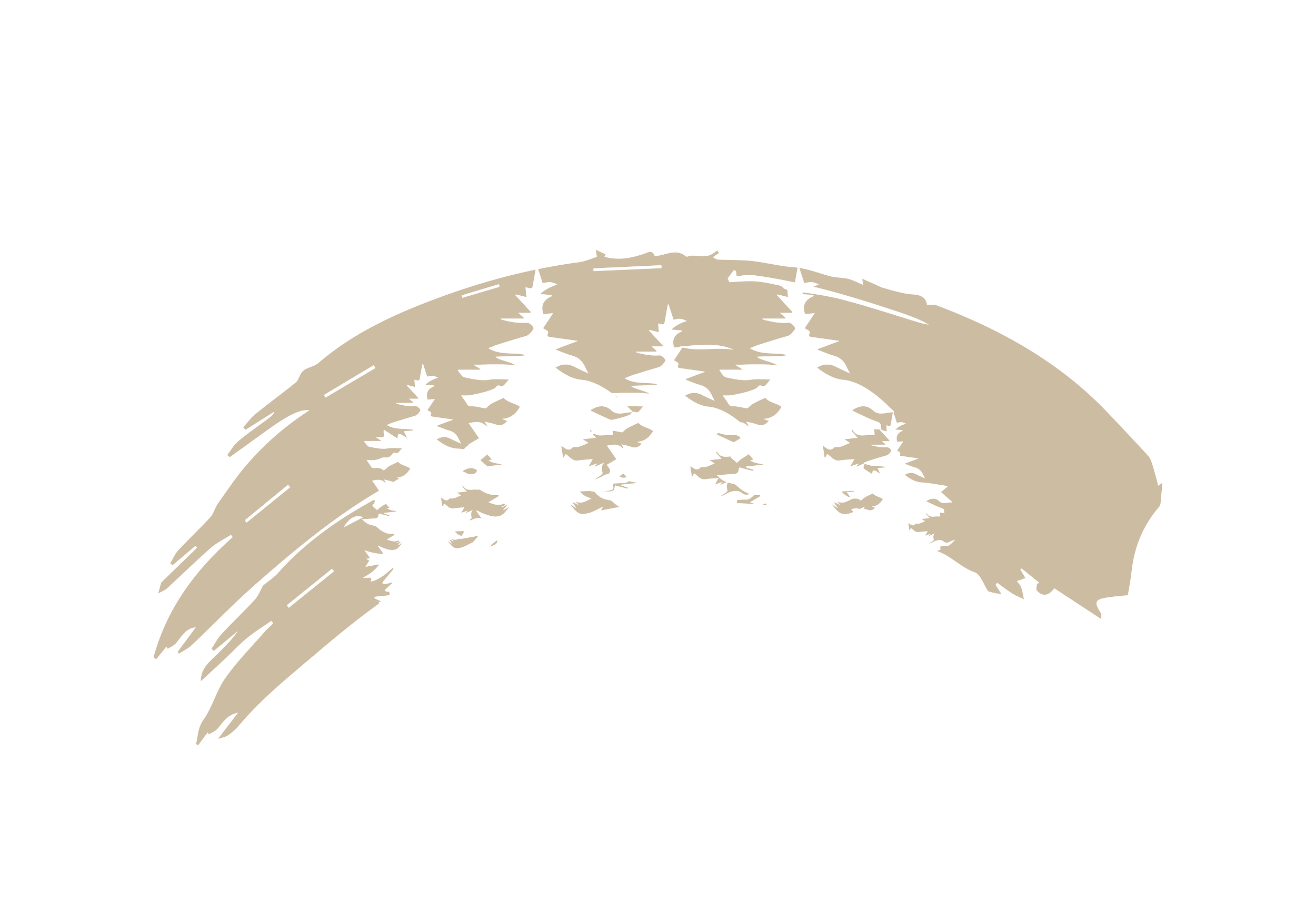 Outline of pine trees inside of a cream paint swatch.
