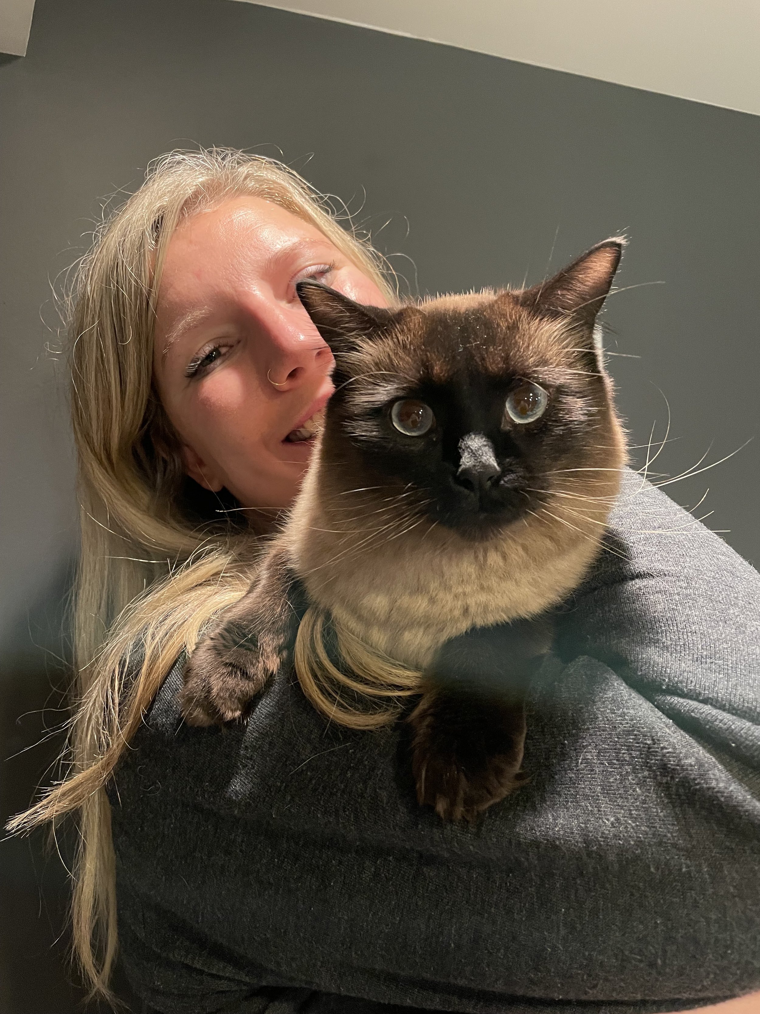 A woman hugging a Siamese cat with cream-colored fur and dark face, ears, paws, and tail, against a gray wall background.