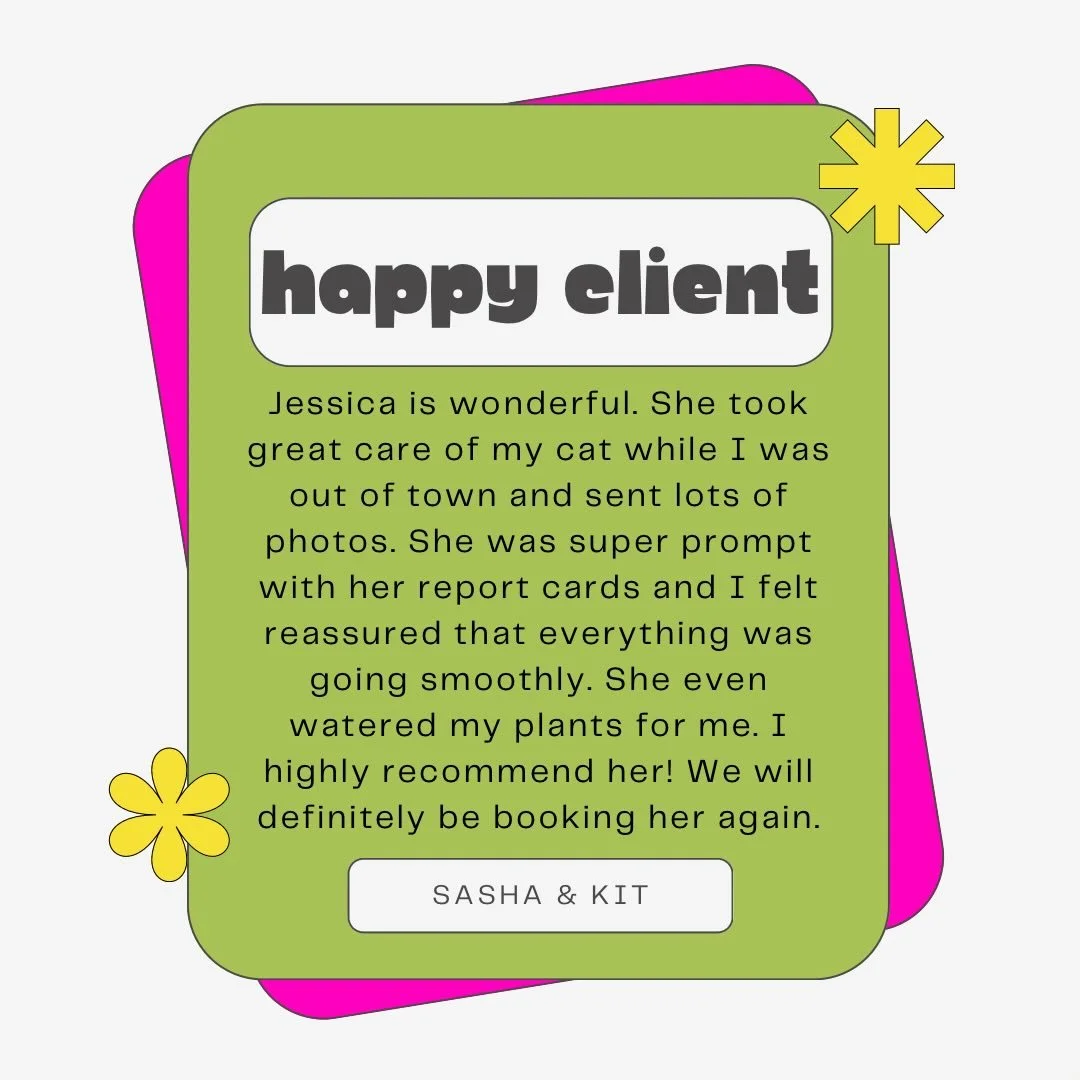 ⭐️⭐️⭐️⭐️⭐️