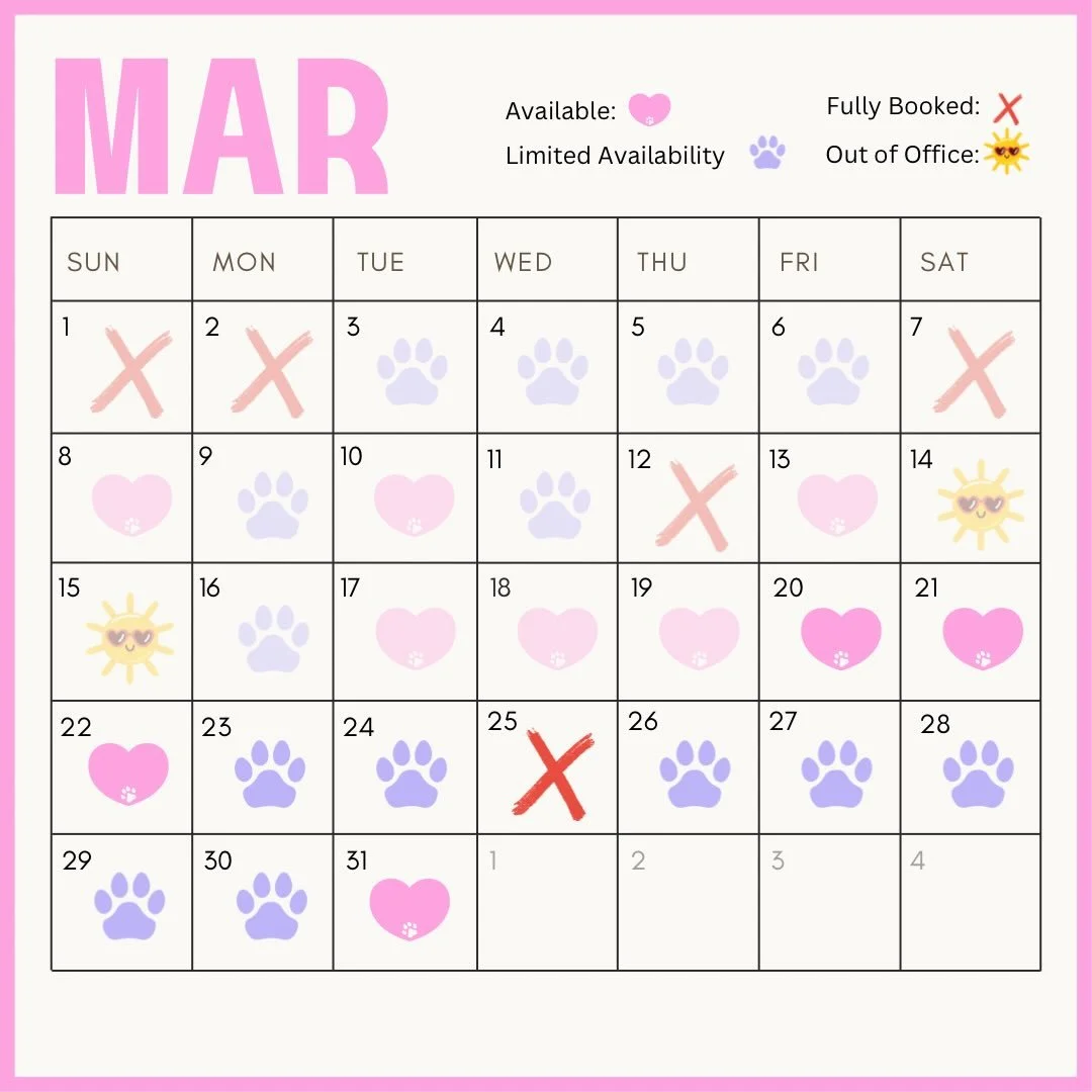 Current Availability 🗓️