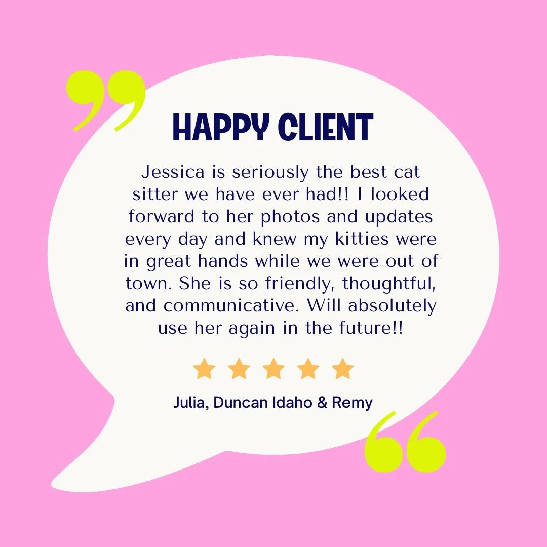 ⭐️⭐️⭐️⭐️⭐️