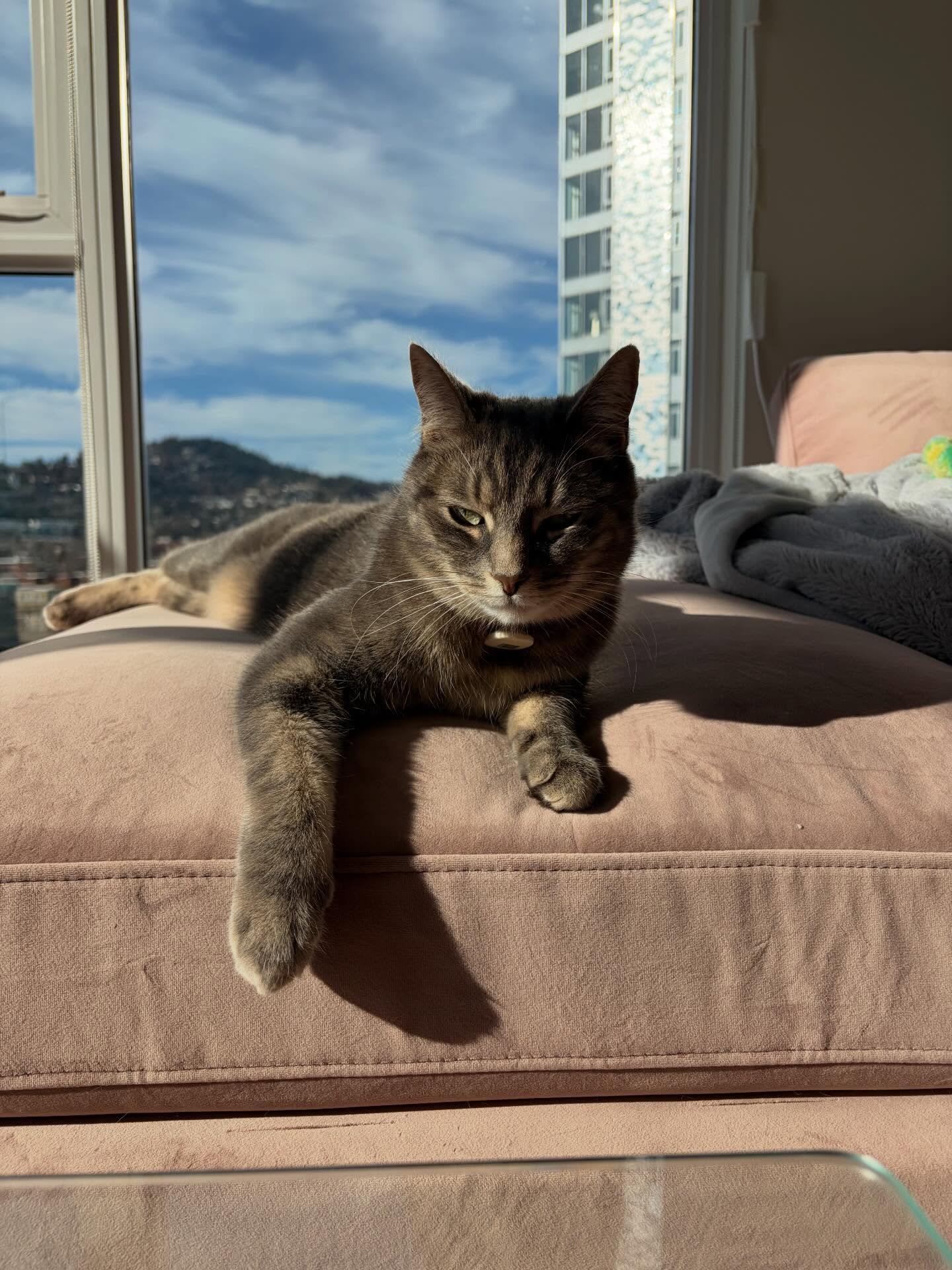 Beautiful Mavros and the lighting in his apartment 🤌