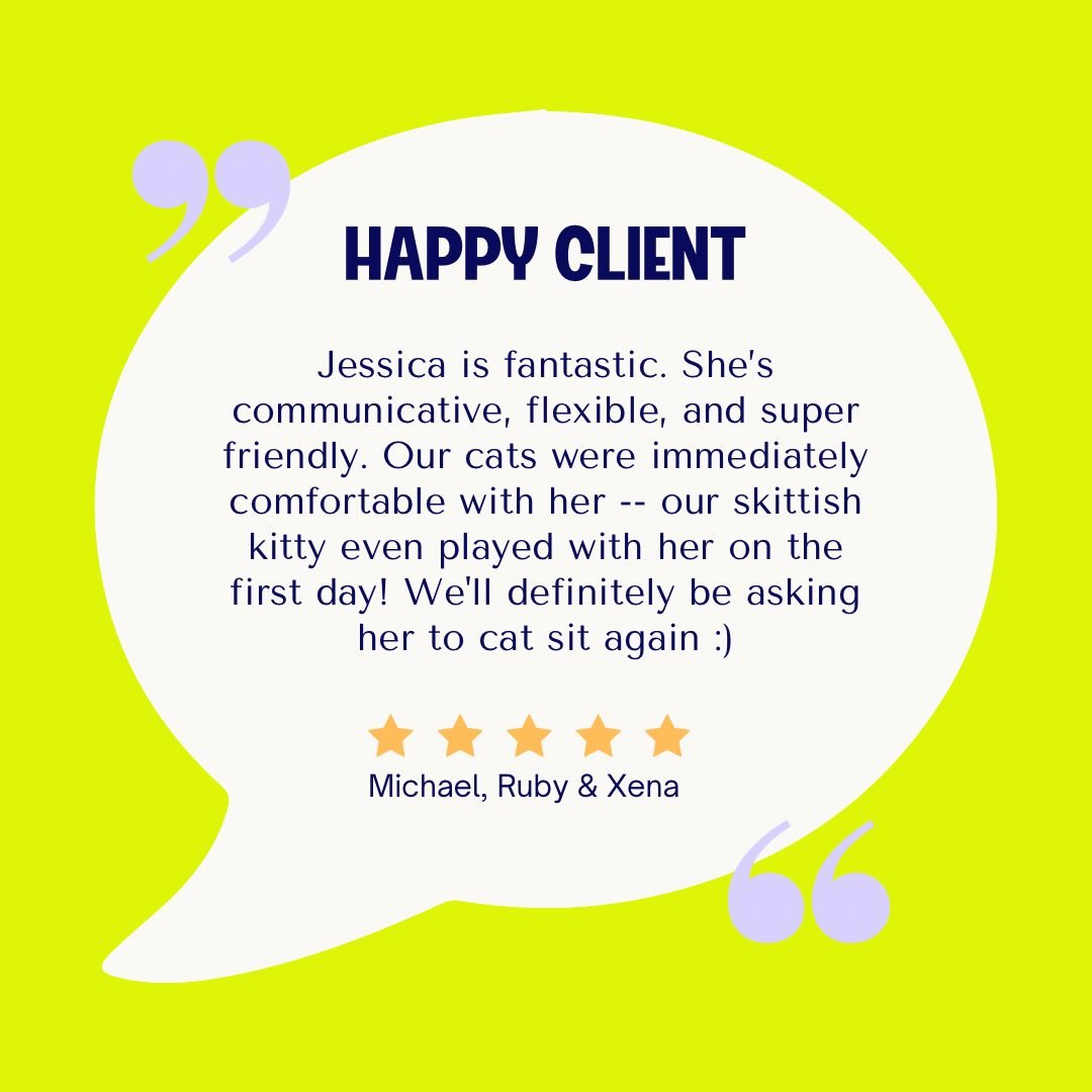 ⭐️⭐️⭐️⭐️⭐️