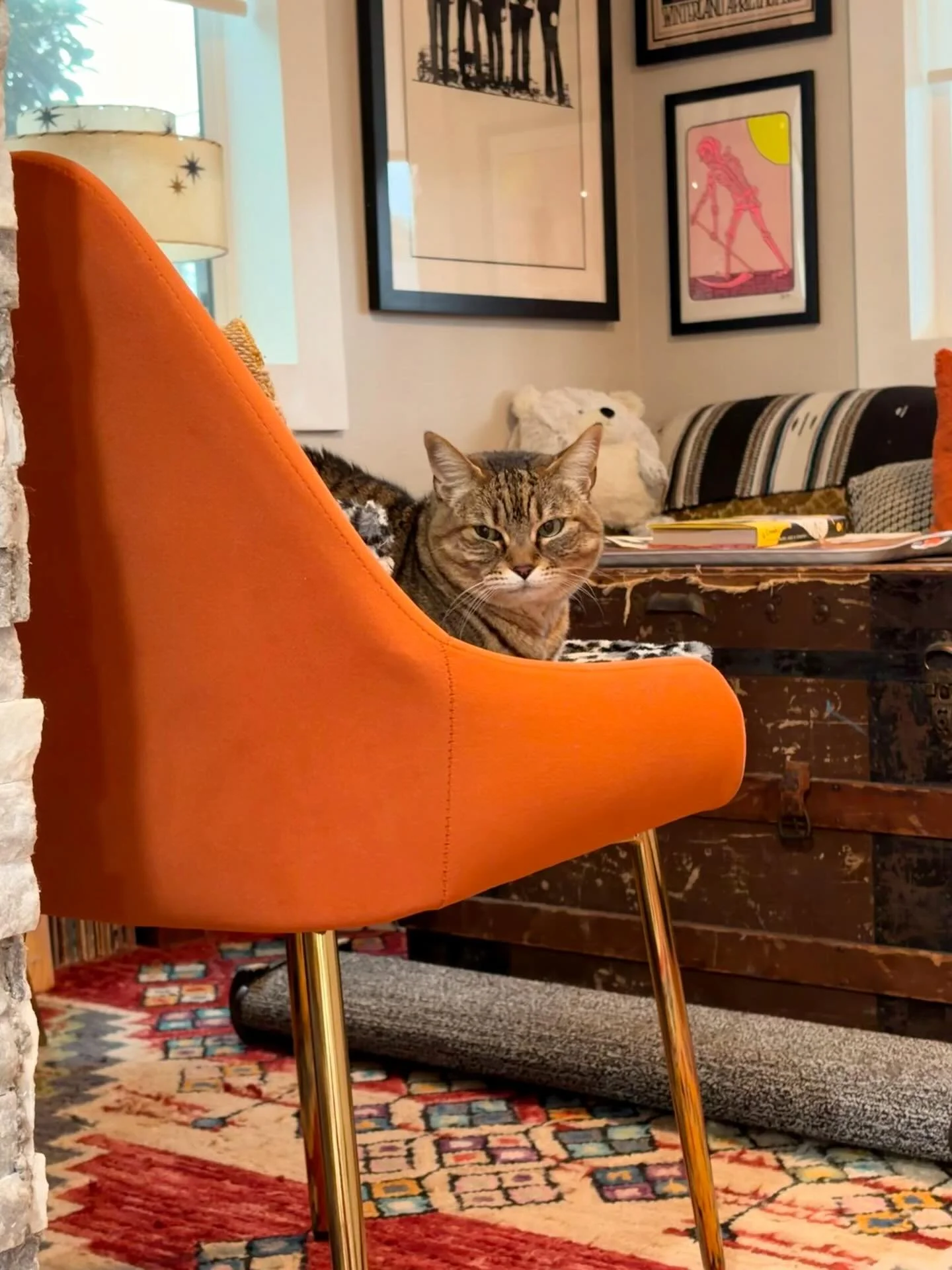 Hildi likes to keep her distance but I have faith that this spicy lady will come around one day 🌶️