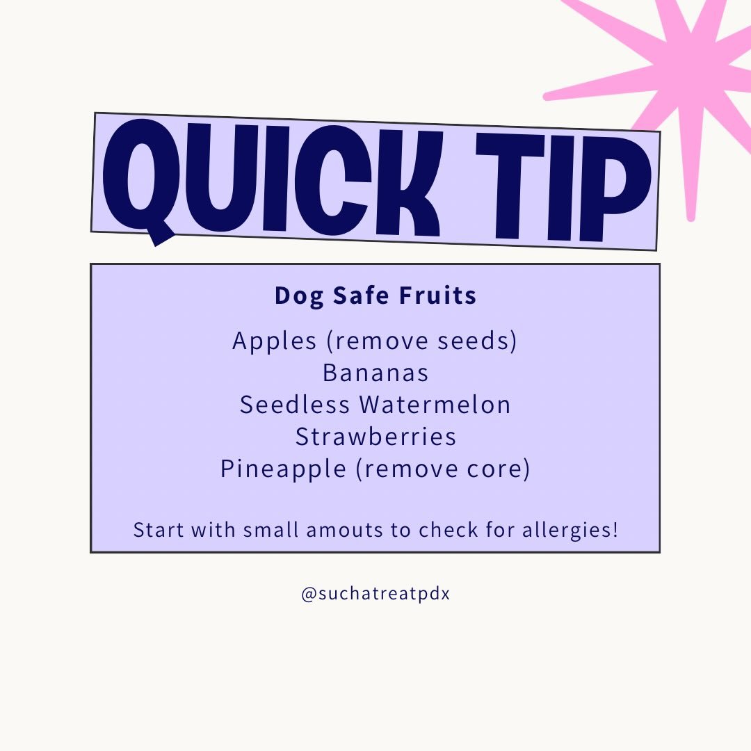 For a little treat, your pup can enjoy these fruits! 
🍎 🍌🍉🍓🍍 feed just a small amount to start to check for allergies. Try them frozen for a fun summer snack!