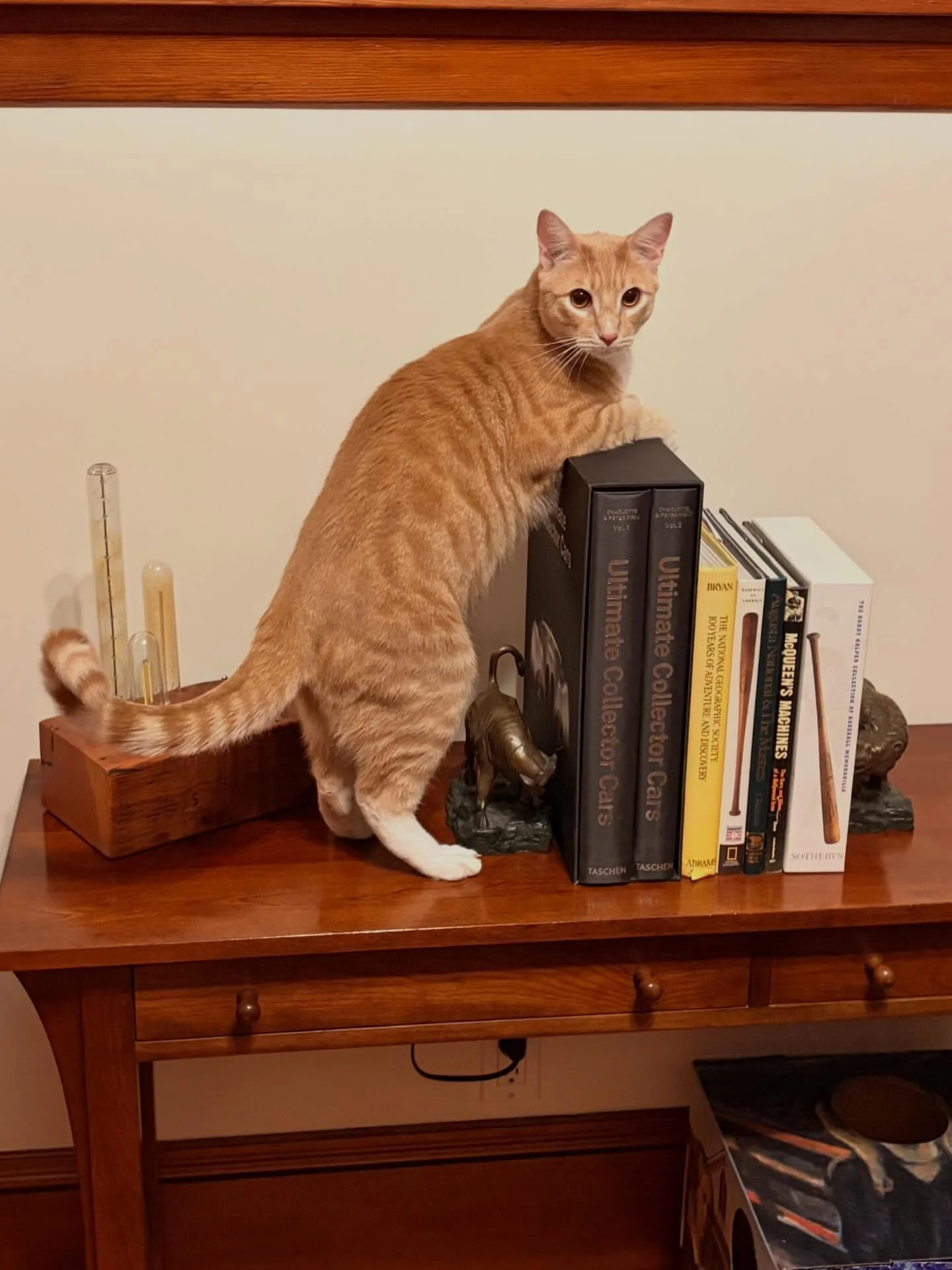 Peter is curious, playful, and a very hungry baby 🐟