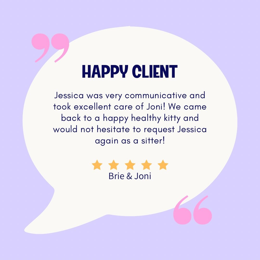 ⭐️⭐️⭐️⭐️⭐️