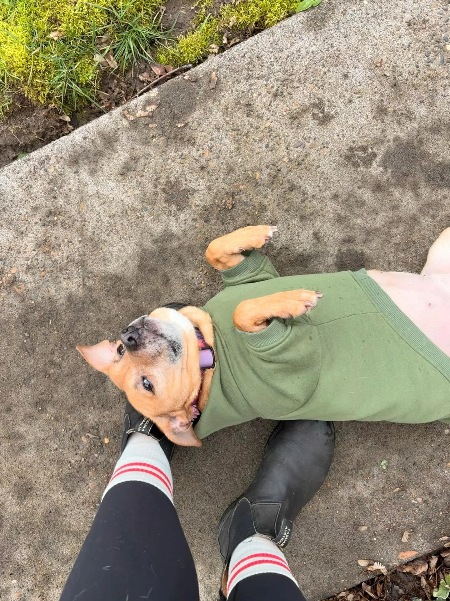 Diva behavior 💅🏽