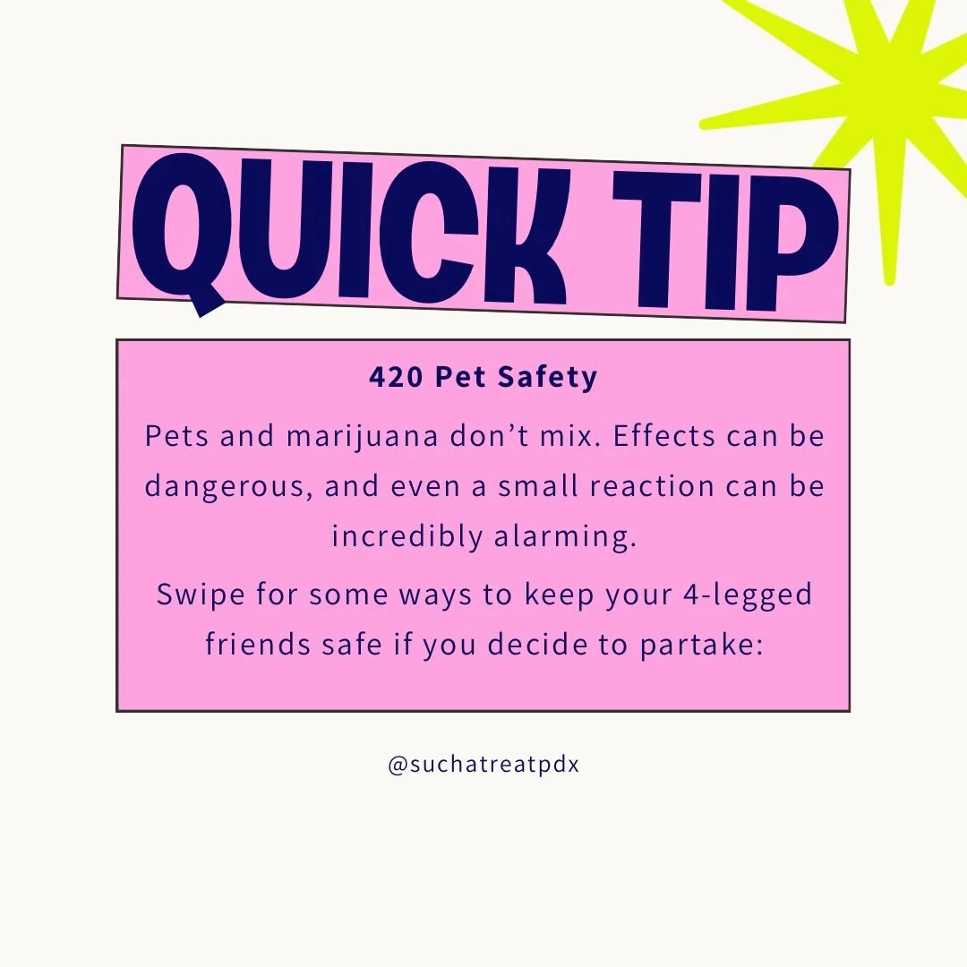 Stick with the catnip 🍃😎 
Bonus fun fact: Did you know that anise is the equivalent to catnip for your pup?