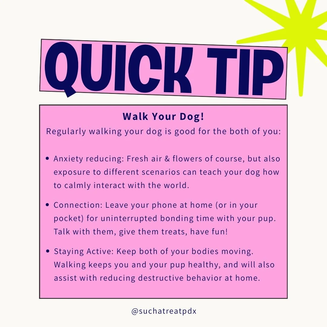 Take your dog on a nice long walk today 🦮🐾🐕&zwj;🦺