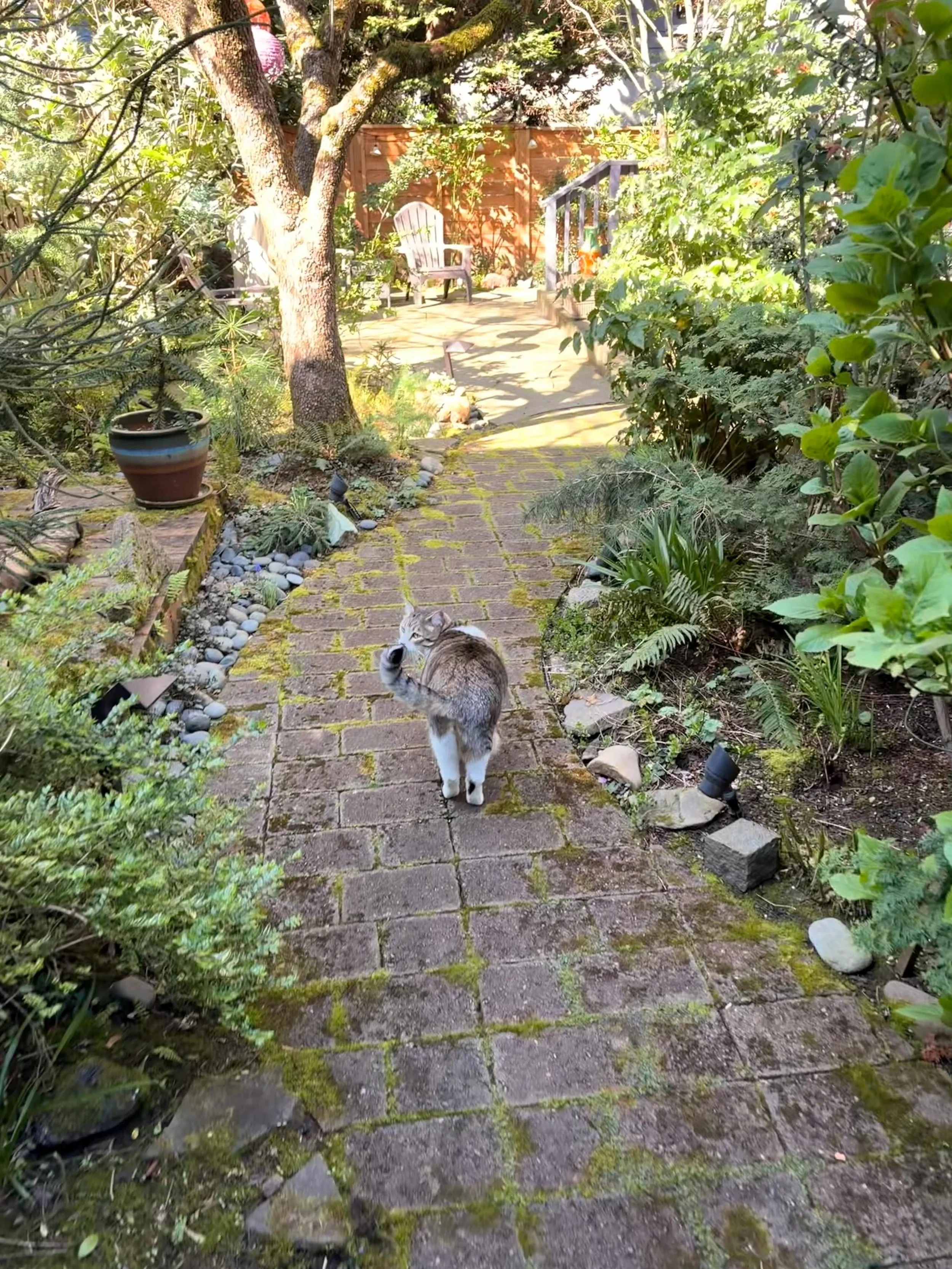 Visiting Ricky is always a good time! Hobbies include: backyard exploration, string bean wand 🫛, dinner.