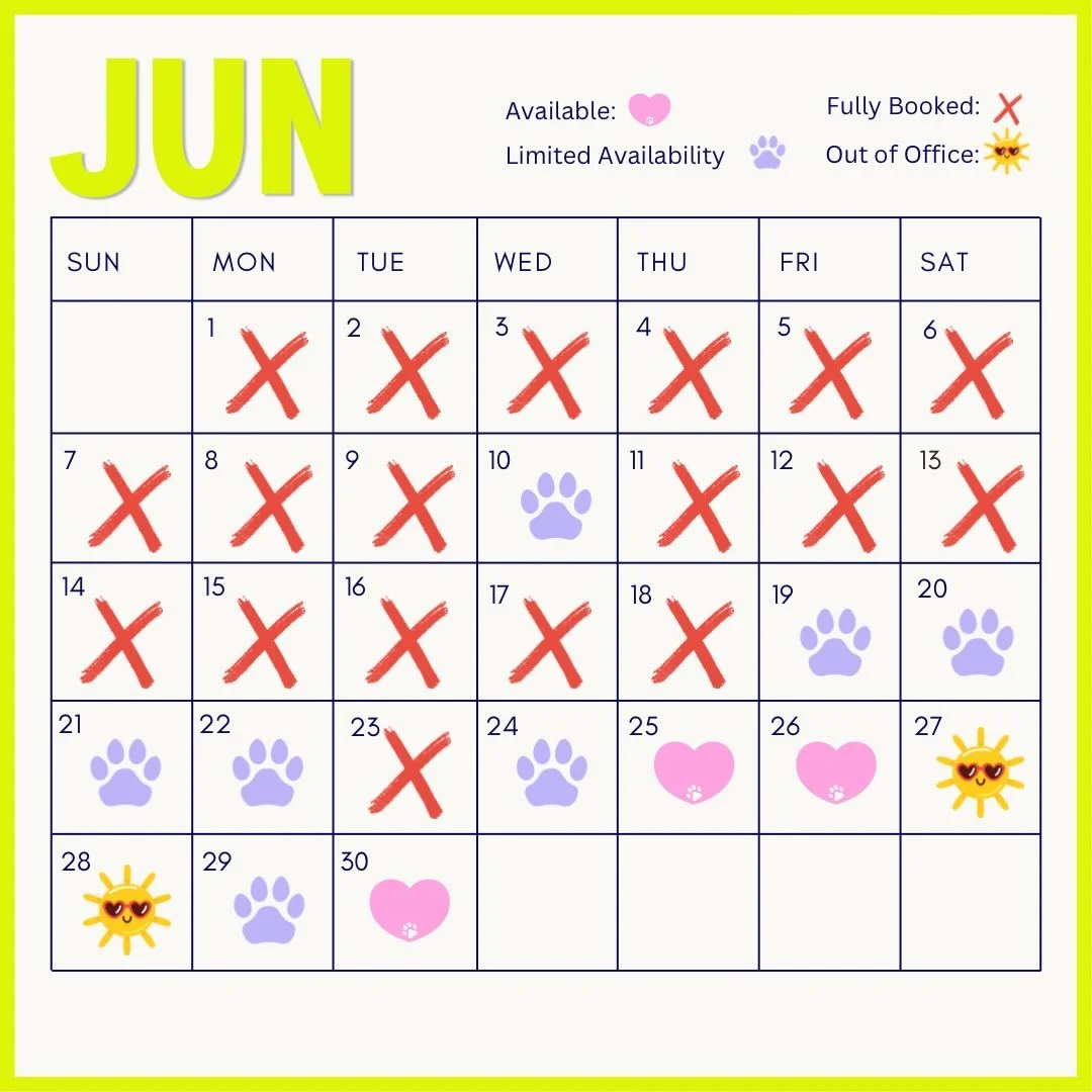 Currently booking through August 🏖️