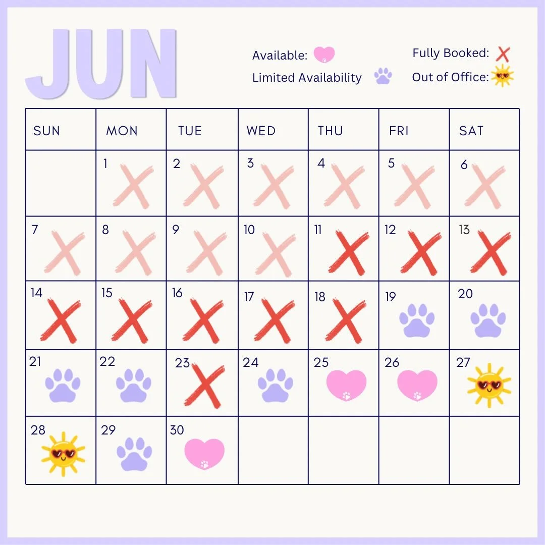 Current availability 📆