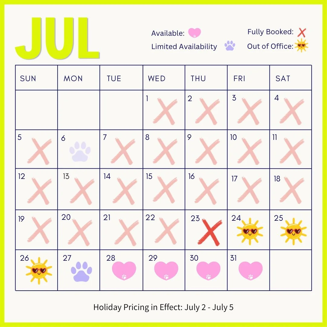 Current Availability ✏️