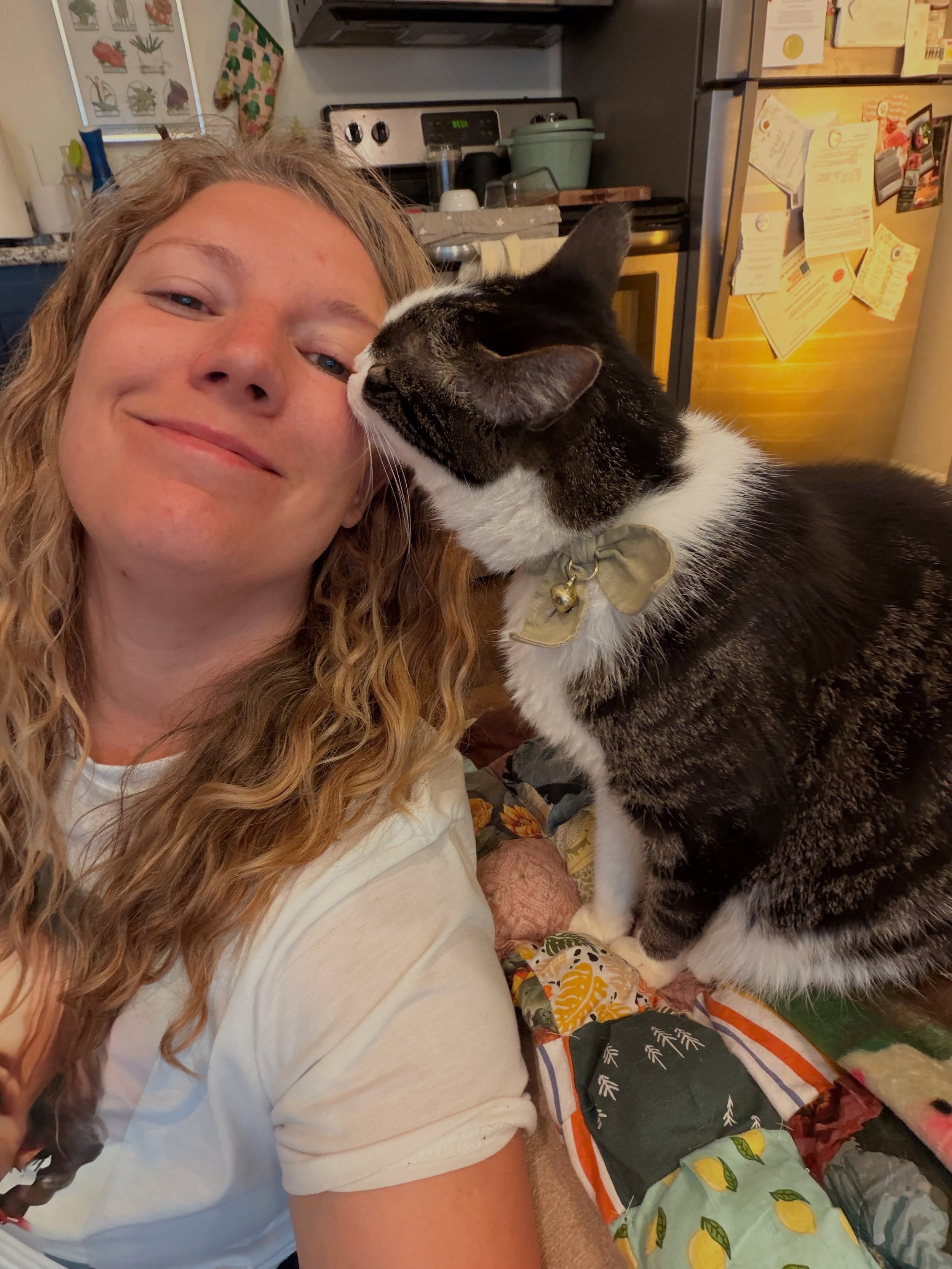 Had a blast spending a month with my guy Archie and sister Winona 🩵 we had a lot of opportunity for enrichment (forts, toy swapping, bird watching, treat puzzles) love this boy!