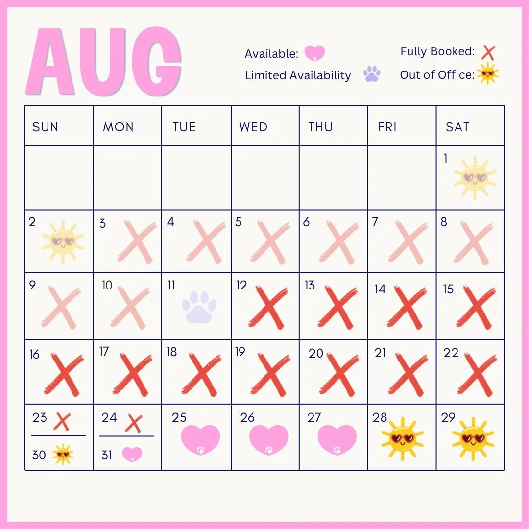 Current availability ✏️
