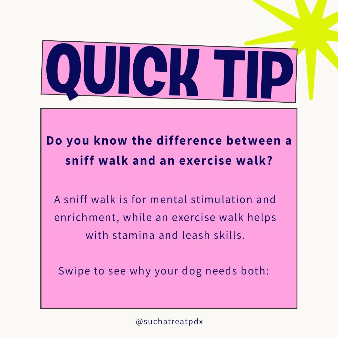 Sniff Walks vs Exercise Walks (and why your dogs needs both!) 🦮🐾🐕&zwj;🦺