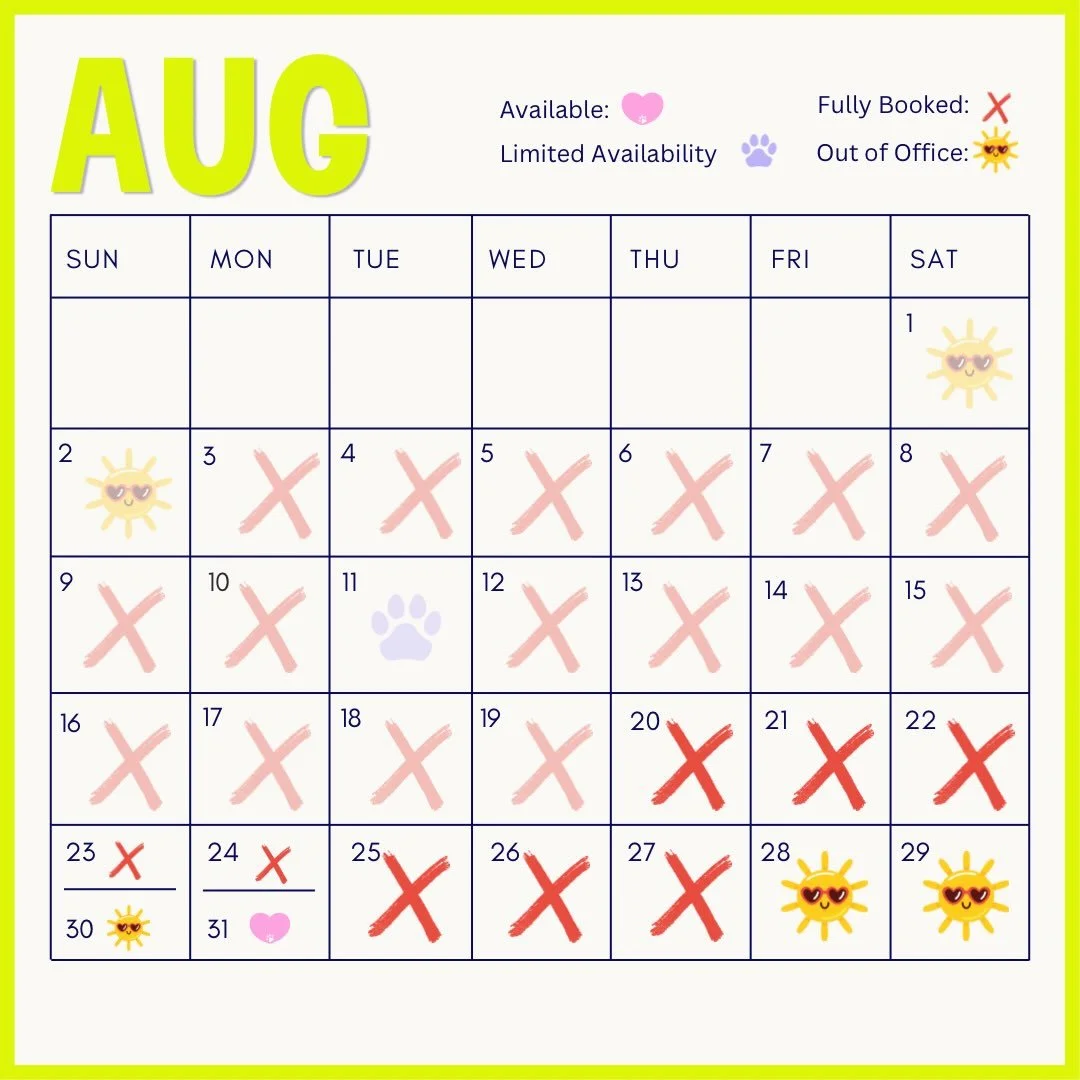 Current Availability ✏️