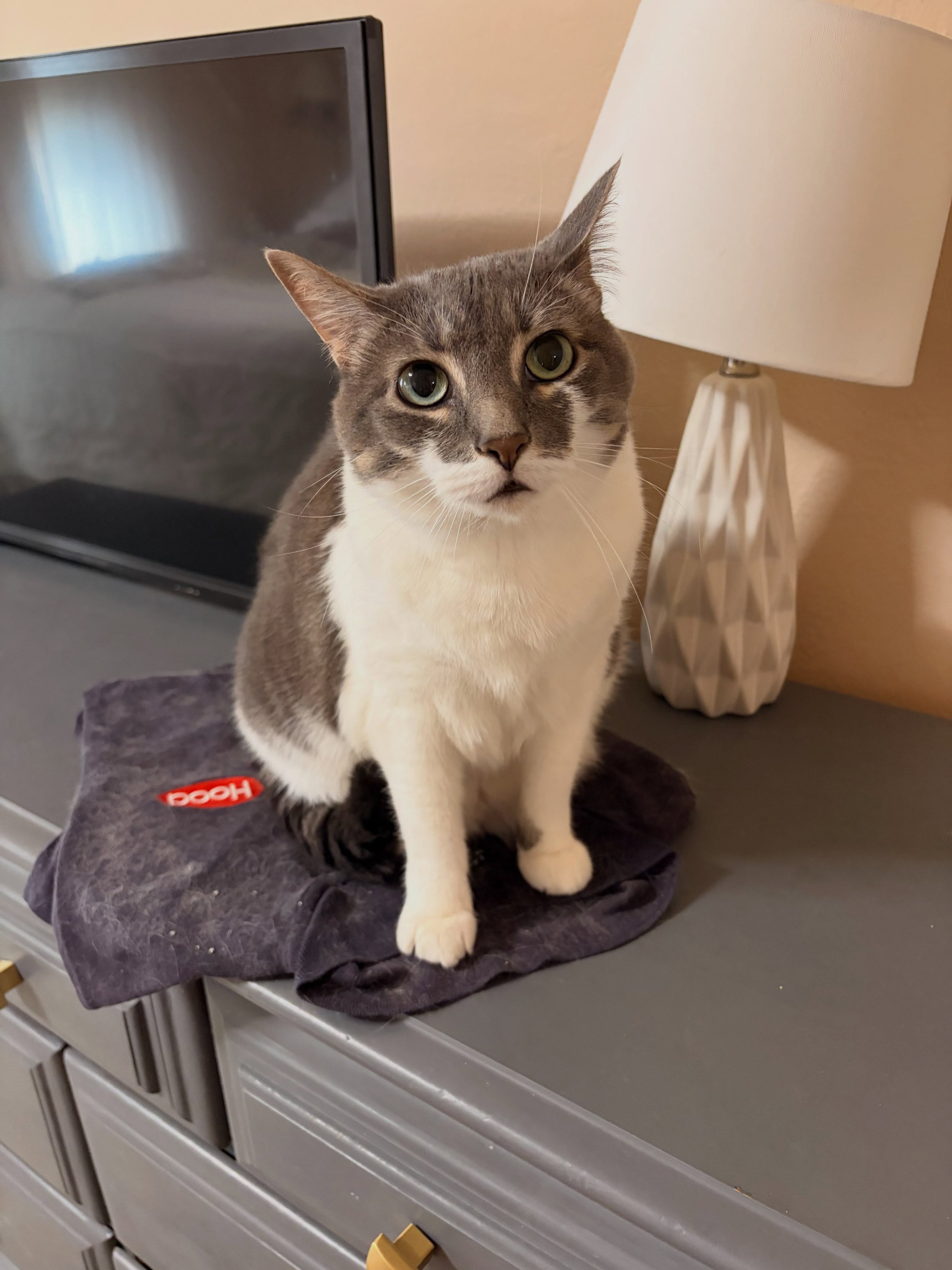 Gladys is more reserved than brother Winston, but this girl is full of love!