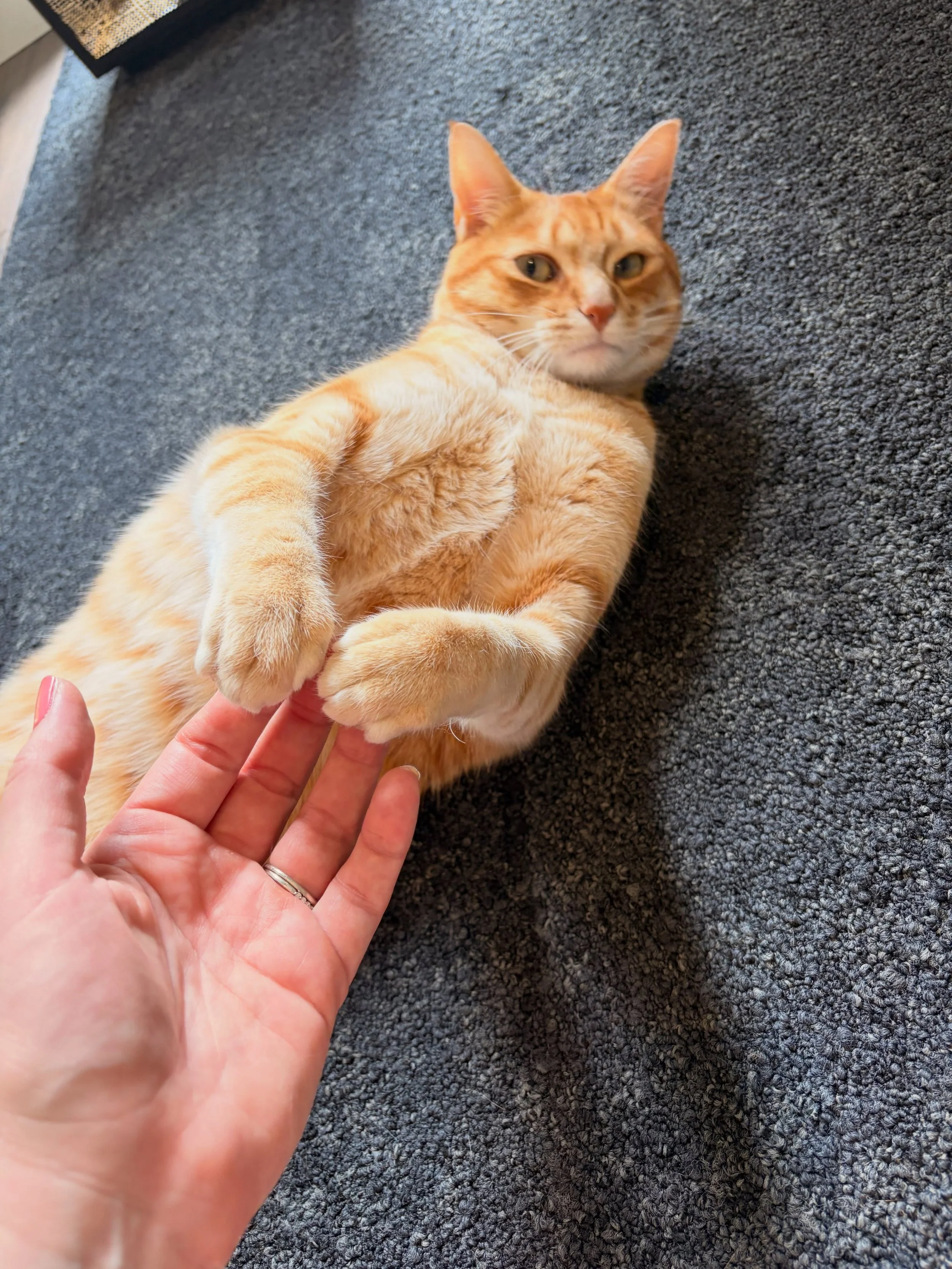 Just two besties holding hands - Tito is such a love bug!