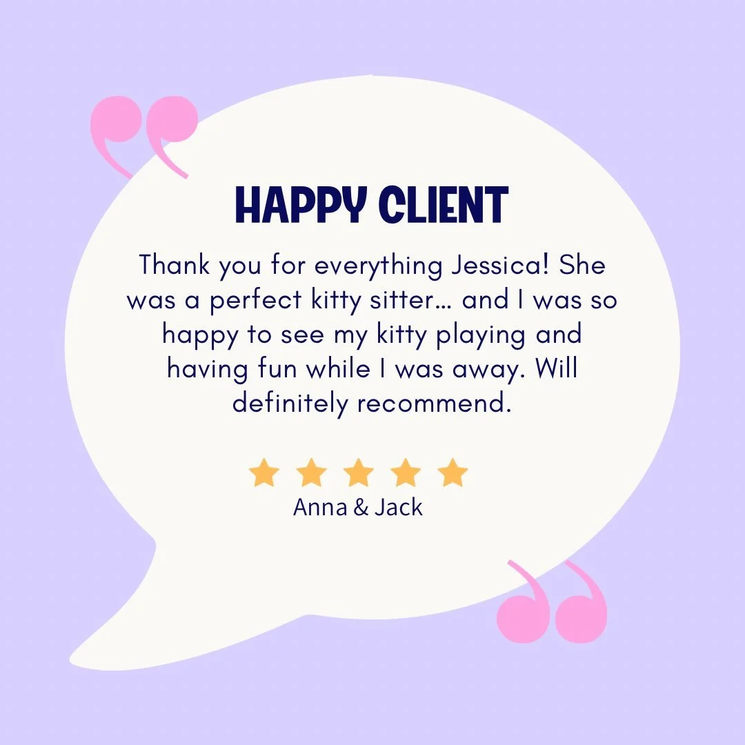 ⭐️⭐️⭐️⭐️⭐️