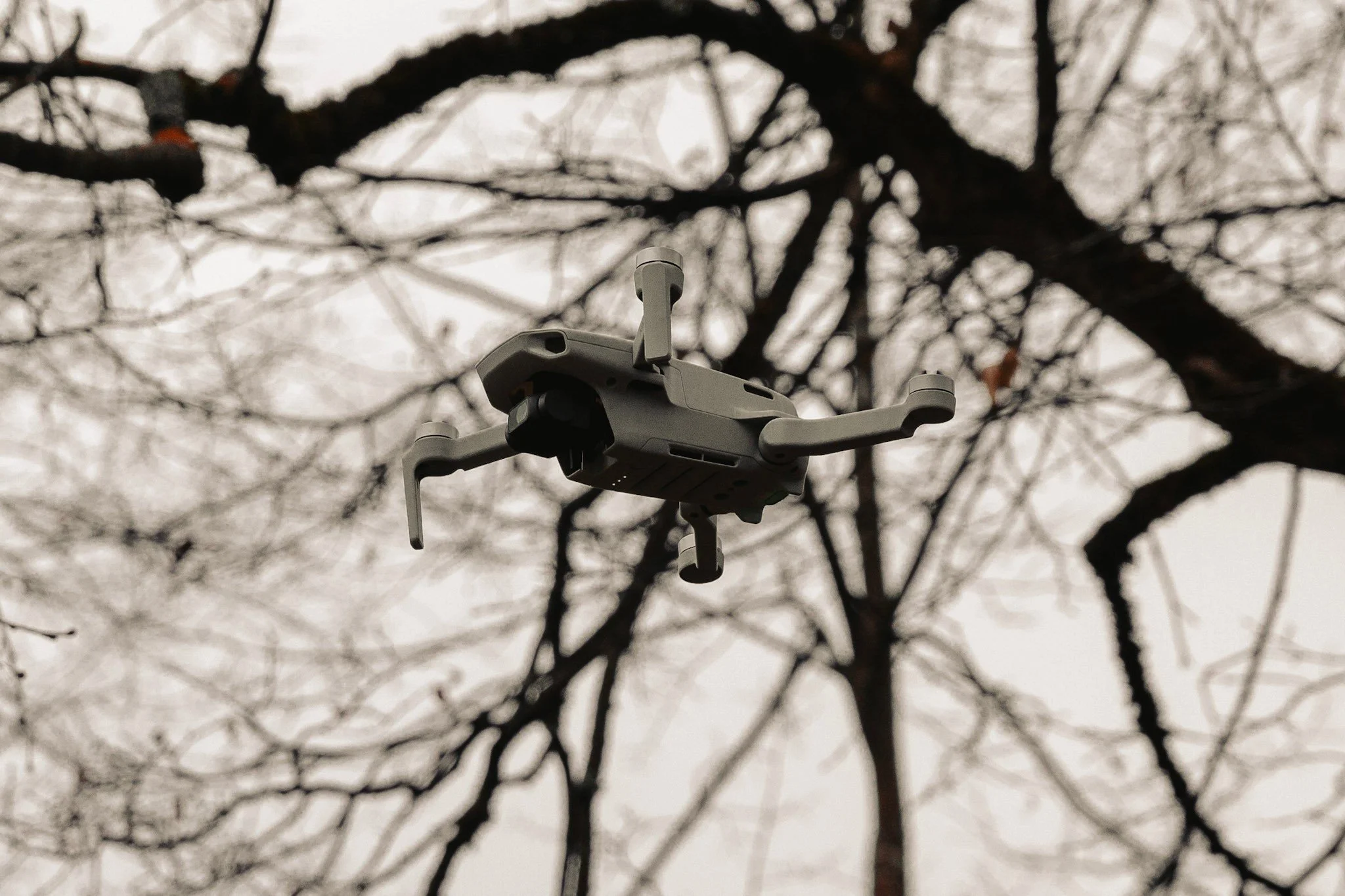 Nasvai Outdoor -19.jpg