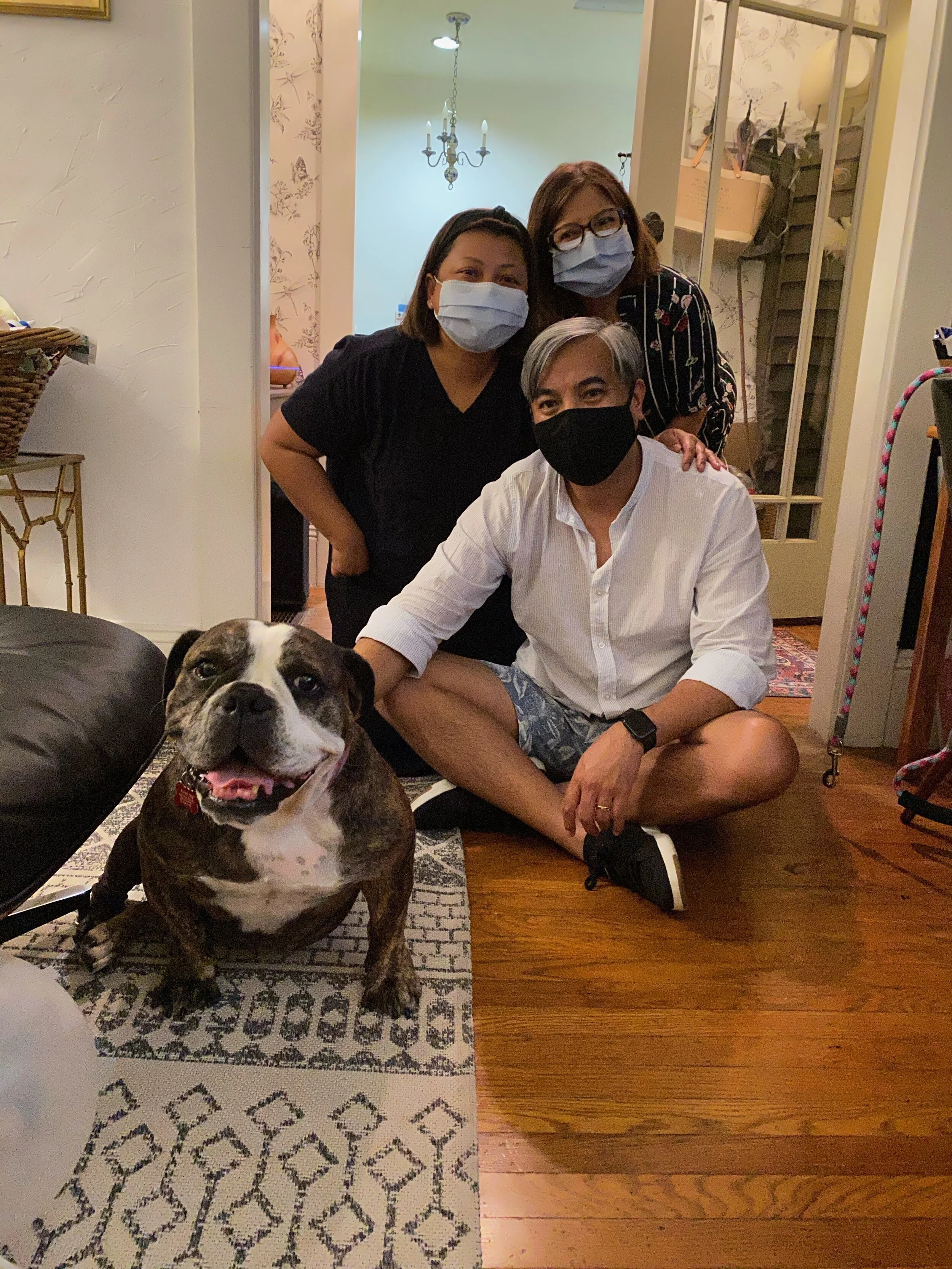 josie adopted 2.jpeg