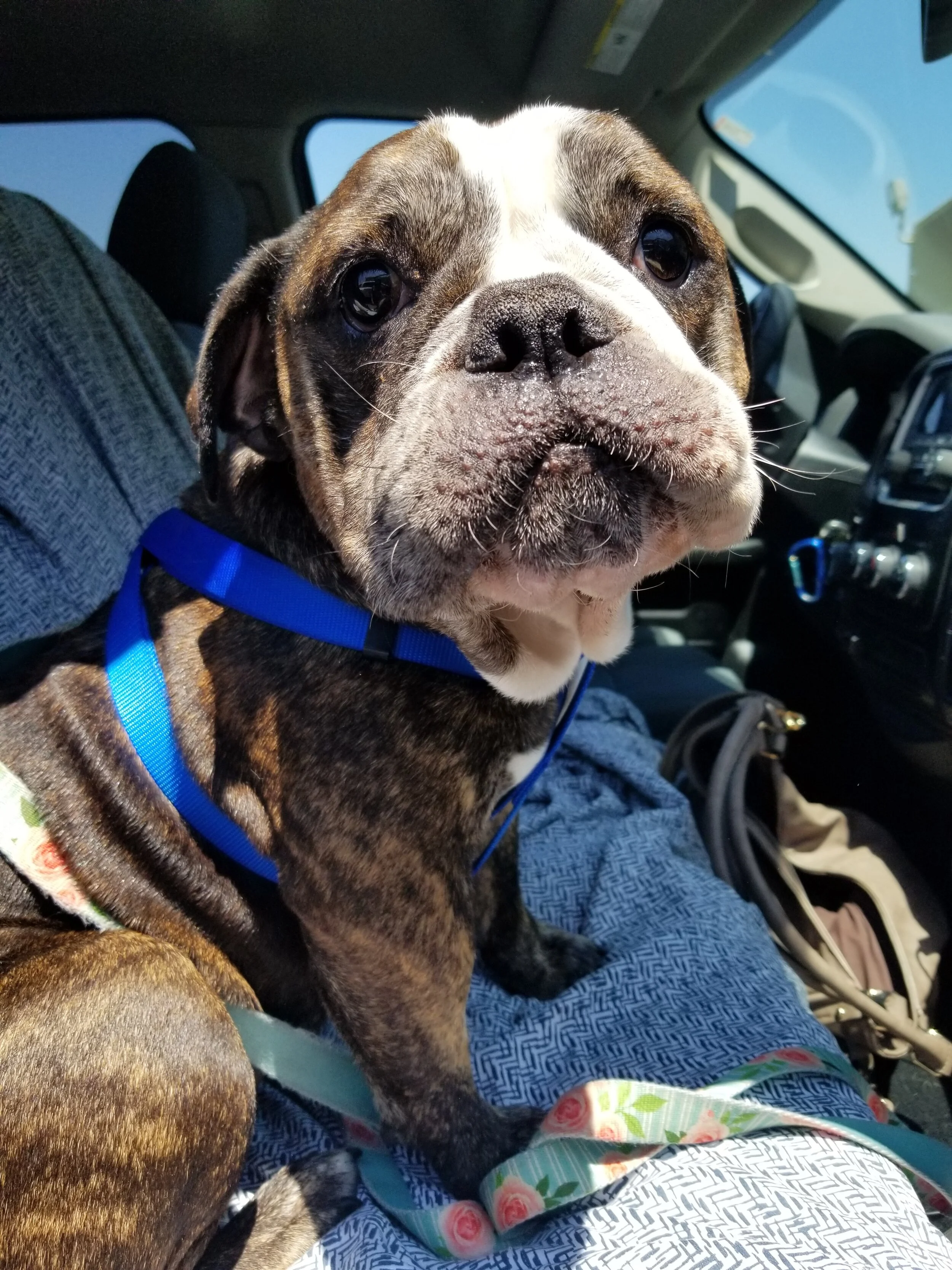 Photo Jul 25, 12 29 39 PM.jpg