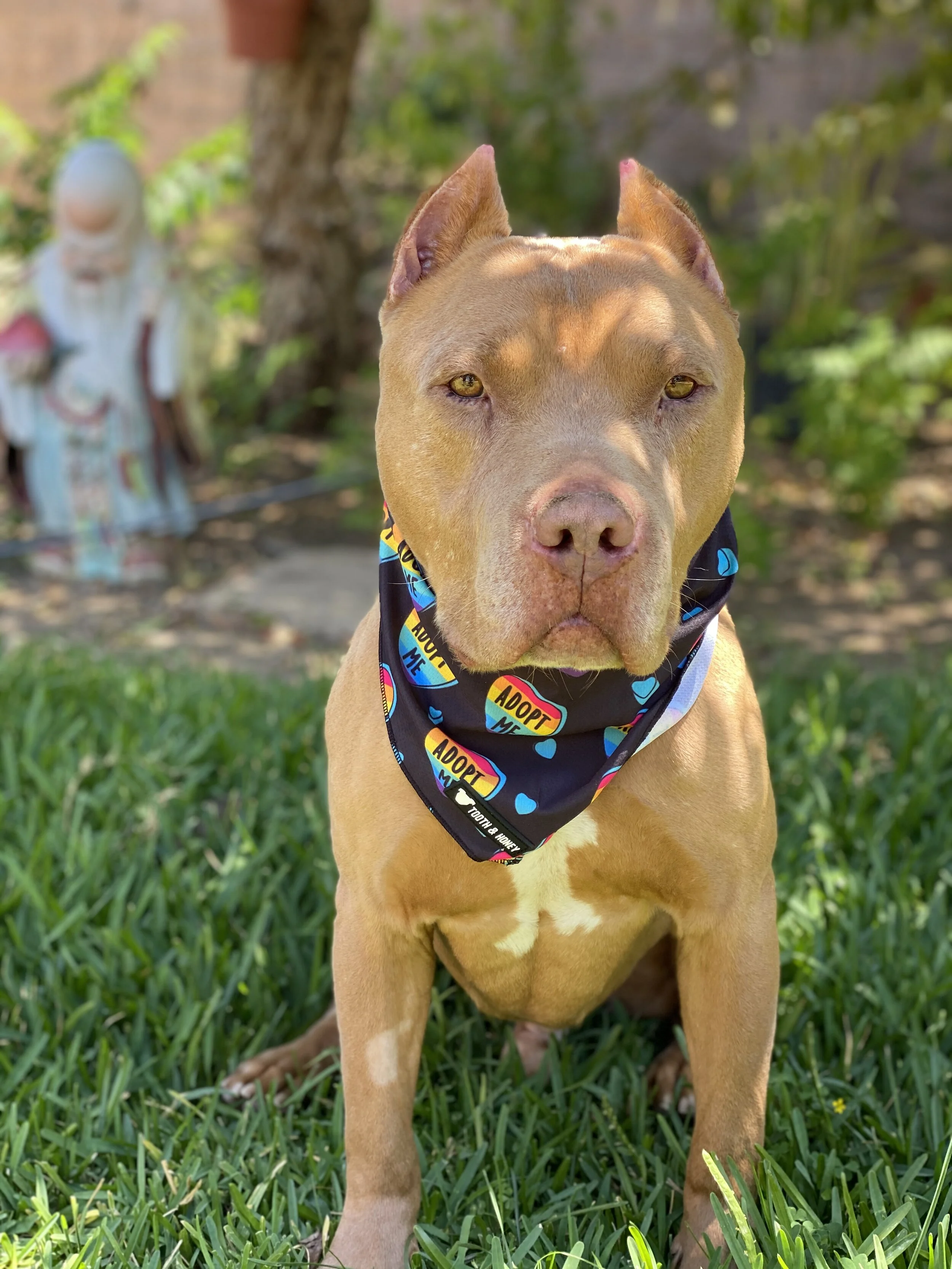 Photo Aug 08, 12 56 44 PM.jpg