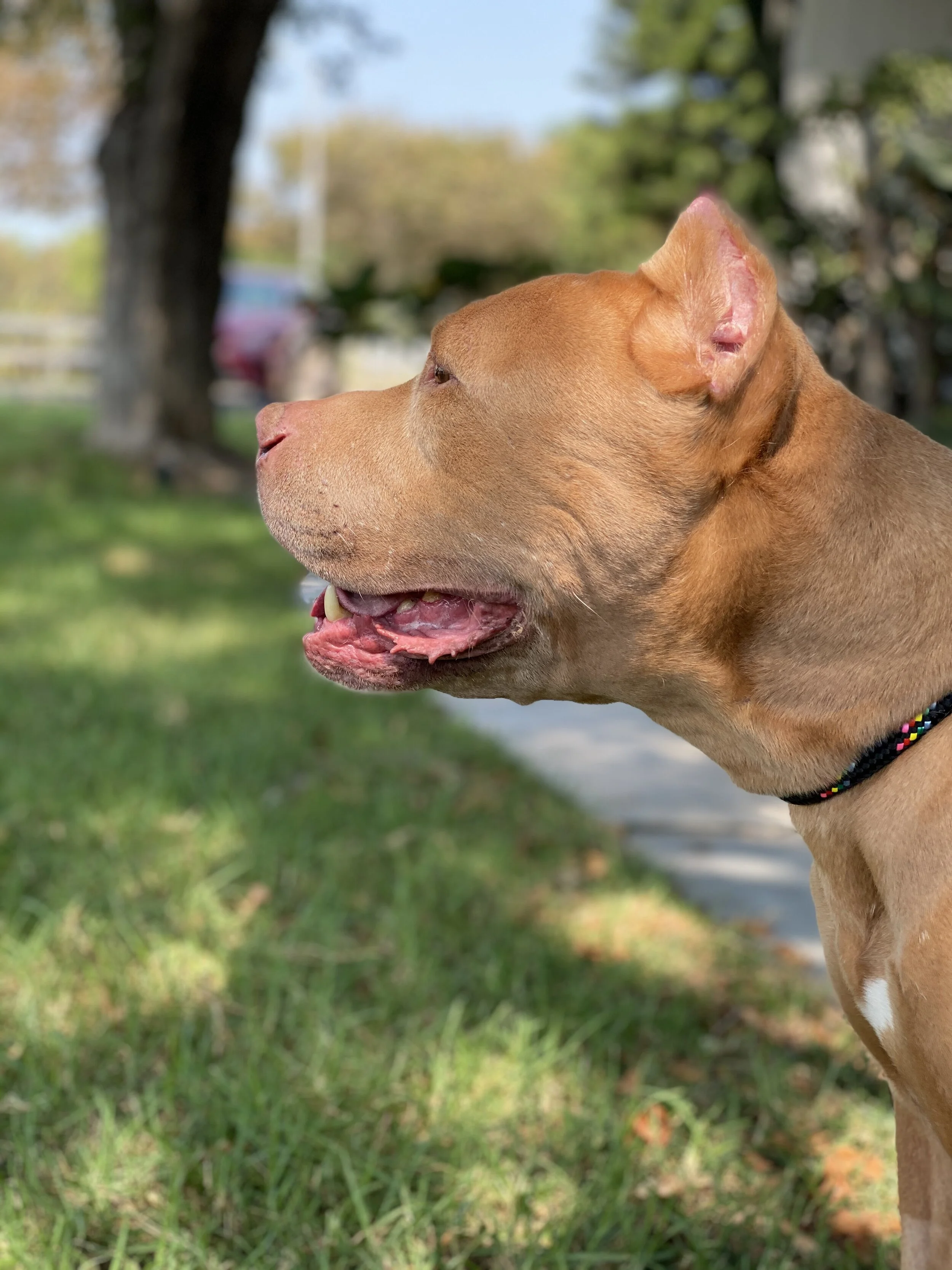 Photo Aug 22, 11 12 36 AM.jpg