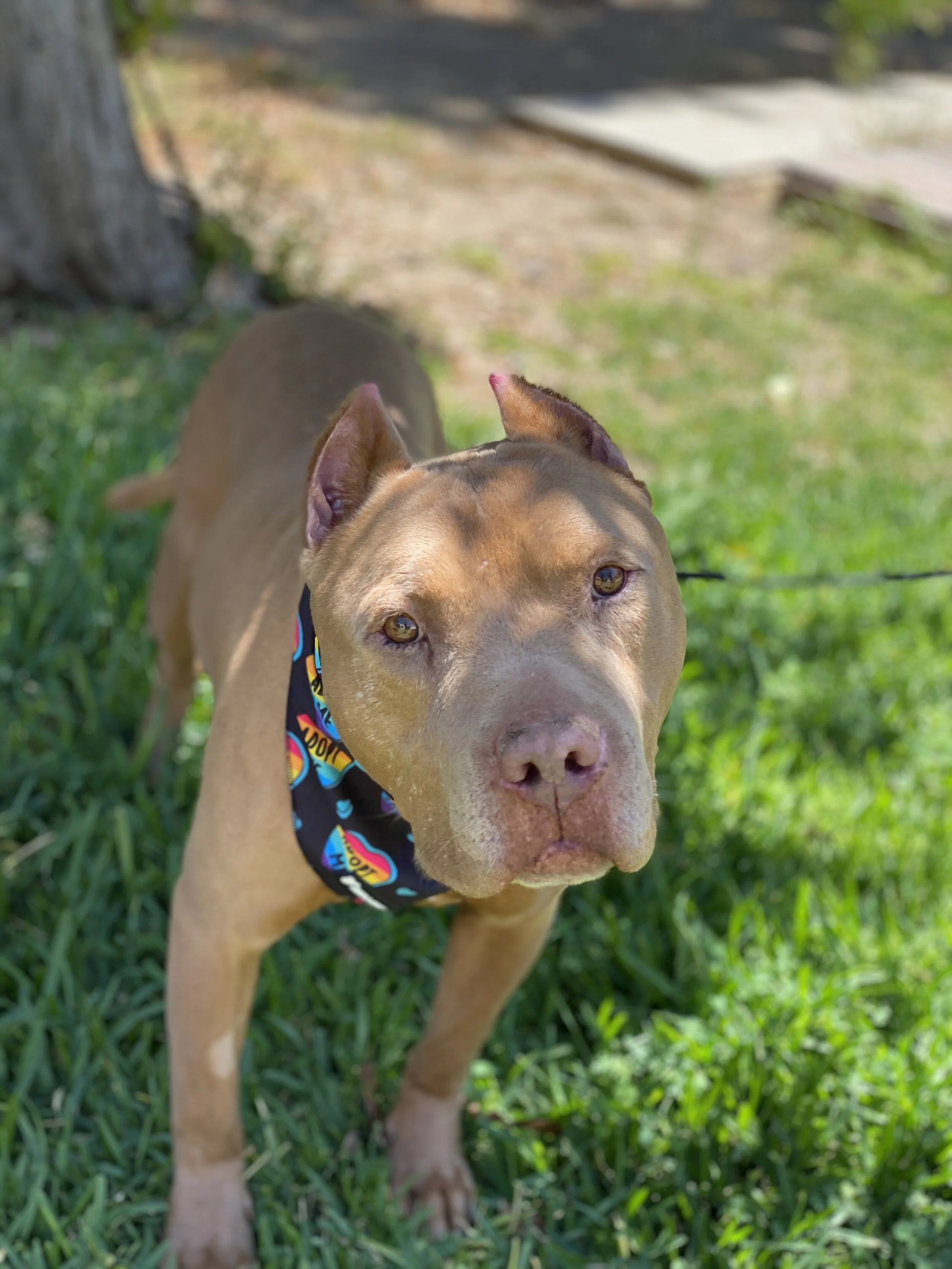 Photo Aug 08, 12 56 11 PM.jpg