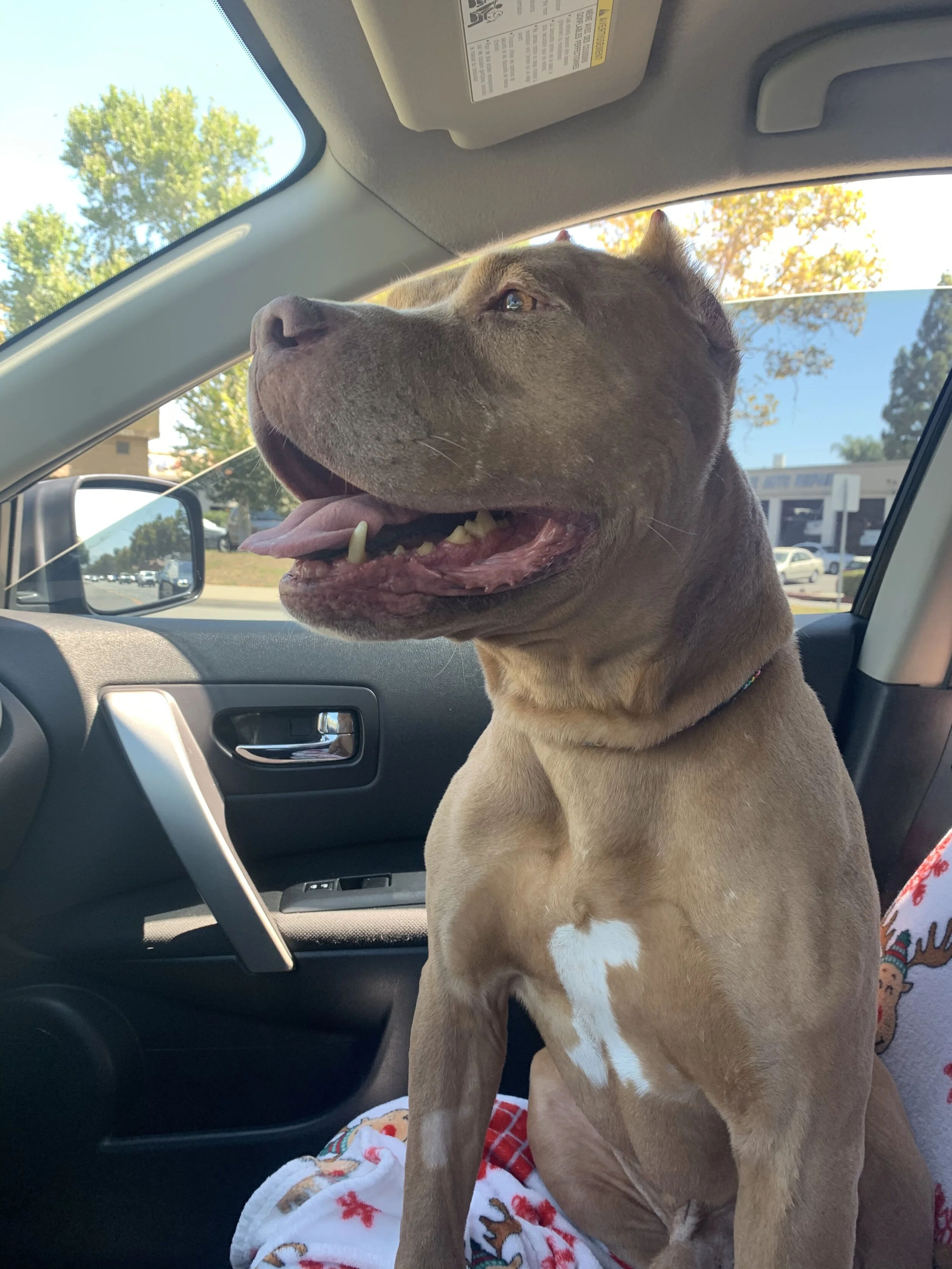 Photo Aug 08, 10 58 31 AM.jpg