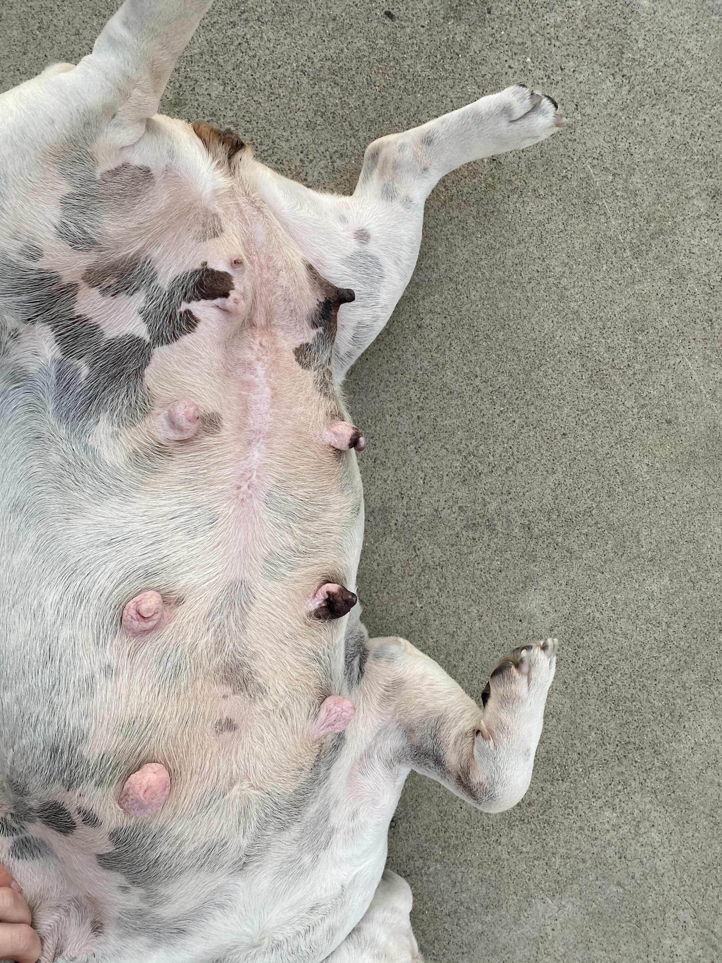 Photo Dec 21, 4 41 13 PM.jpg