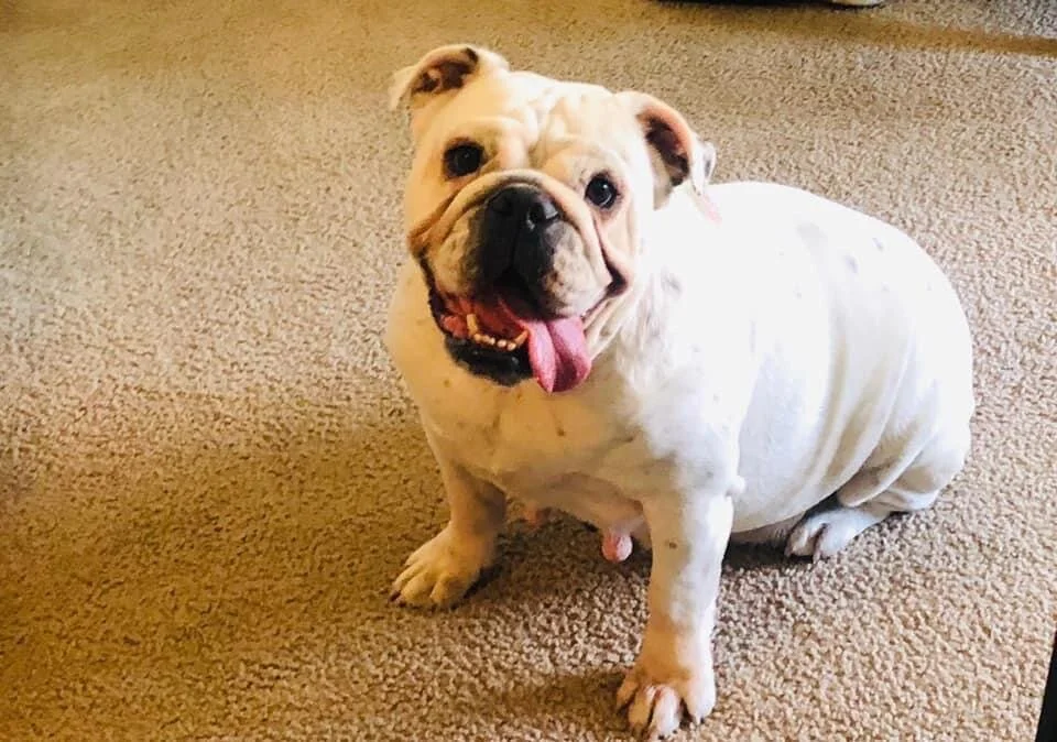 Photo Dec 13, 12 54 32 PM.jpg