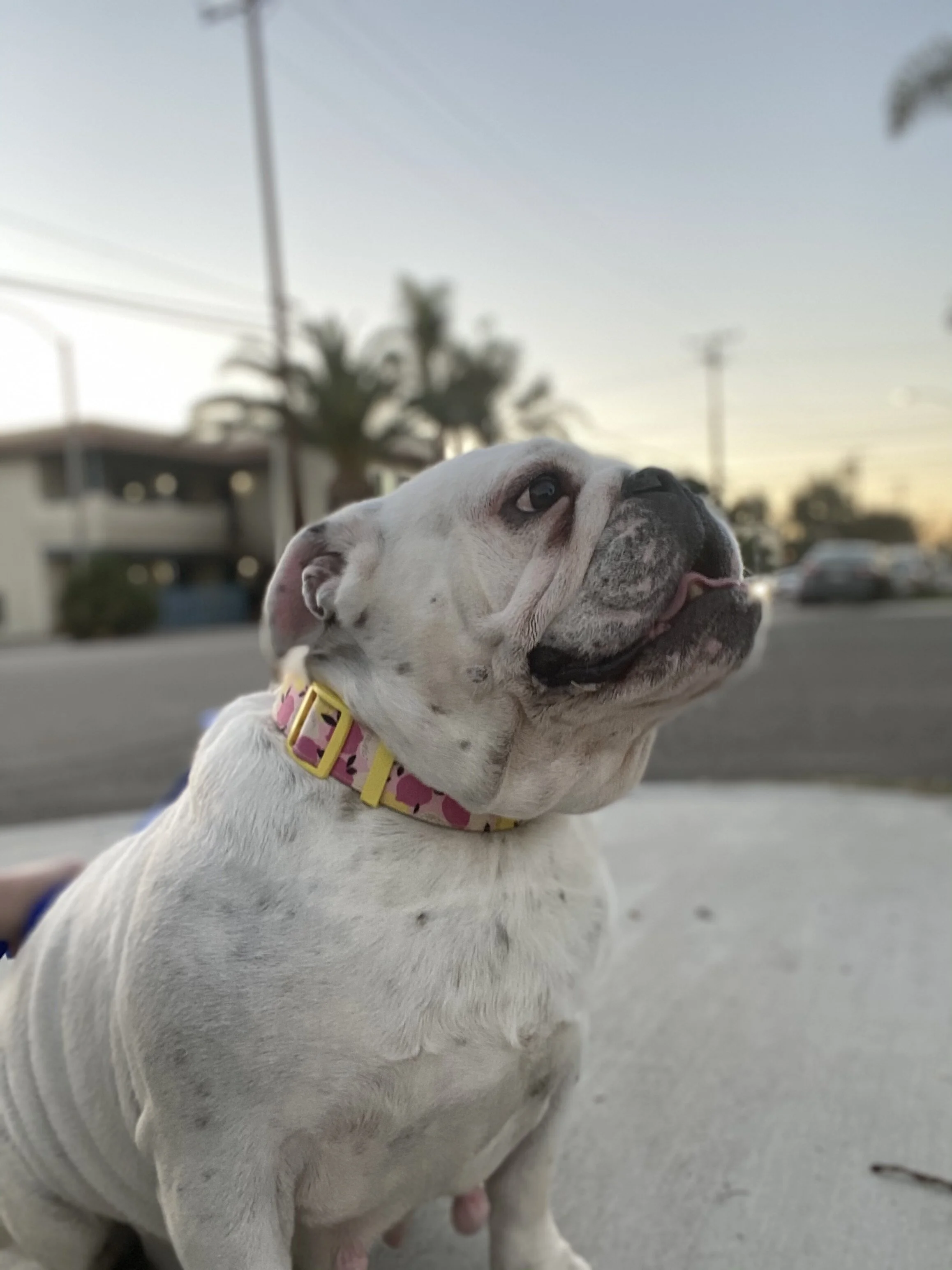 Photo Dec 21, 4 44 18 PM.jpg