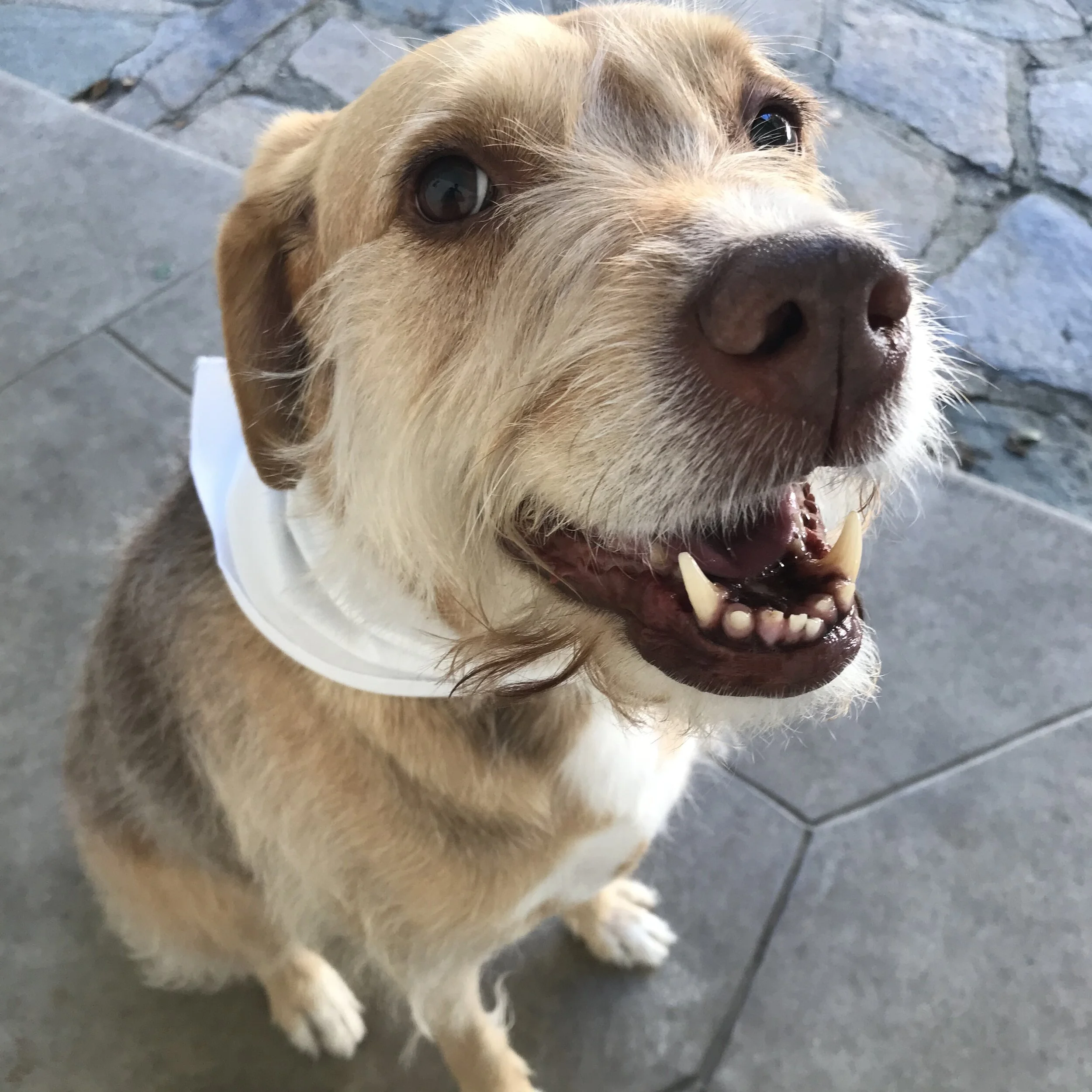 Photo May 20, 5 06 23 PM.jpg