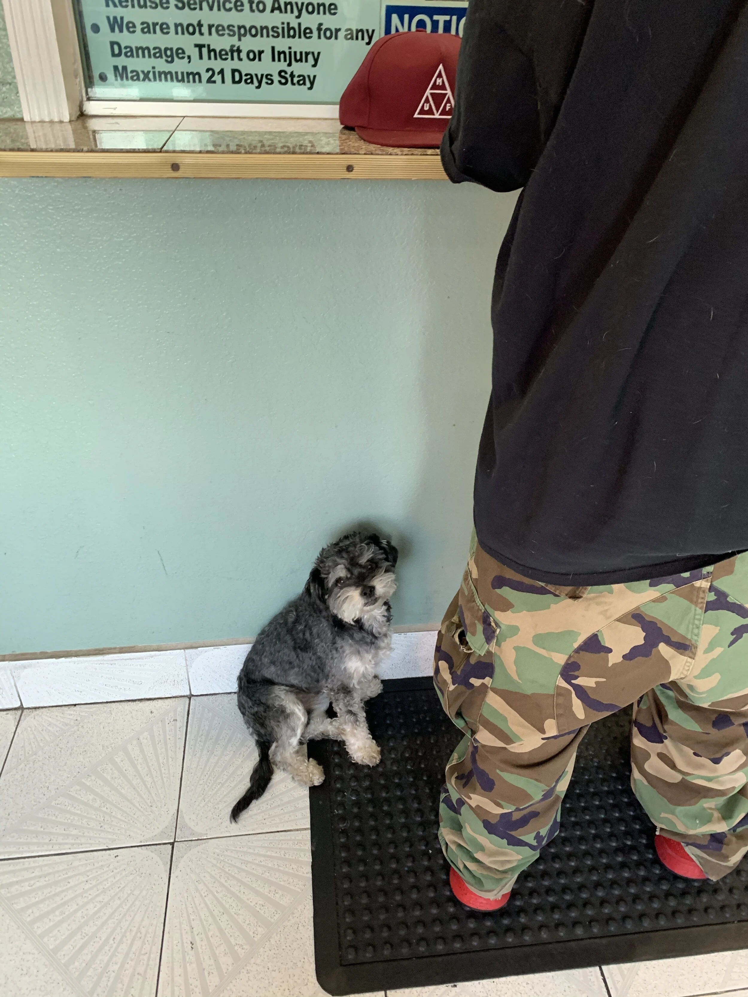 Photo Dec 31, 4 18 00 PM.jpg