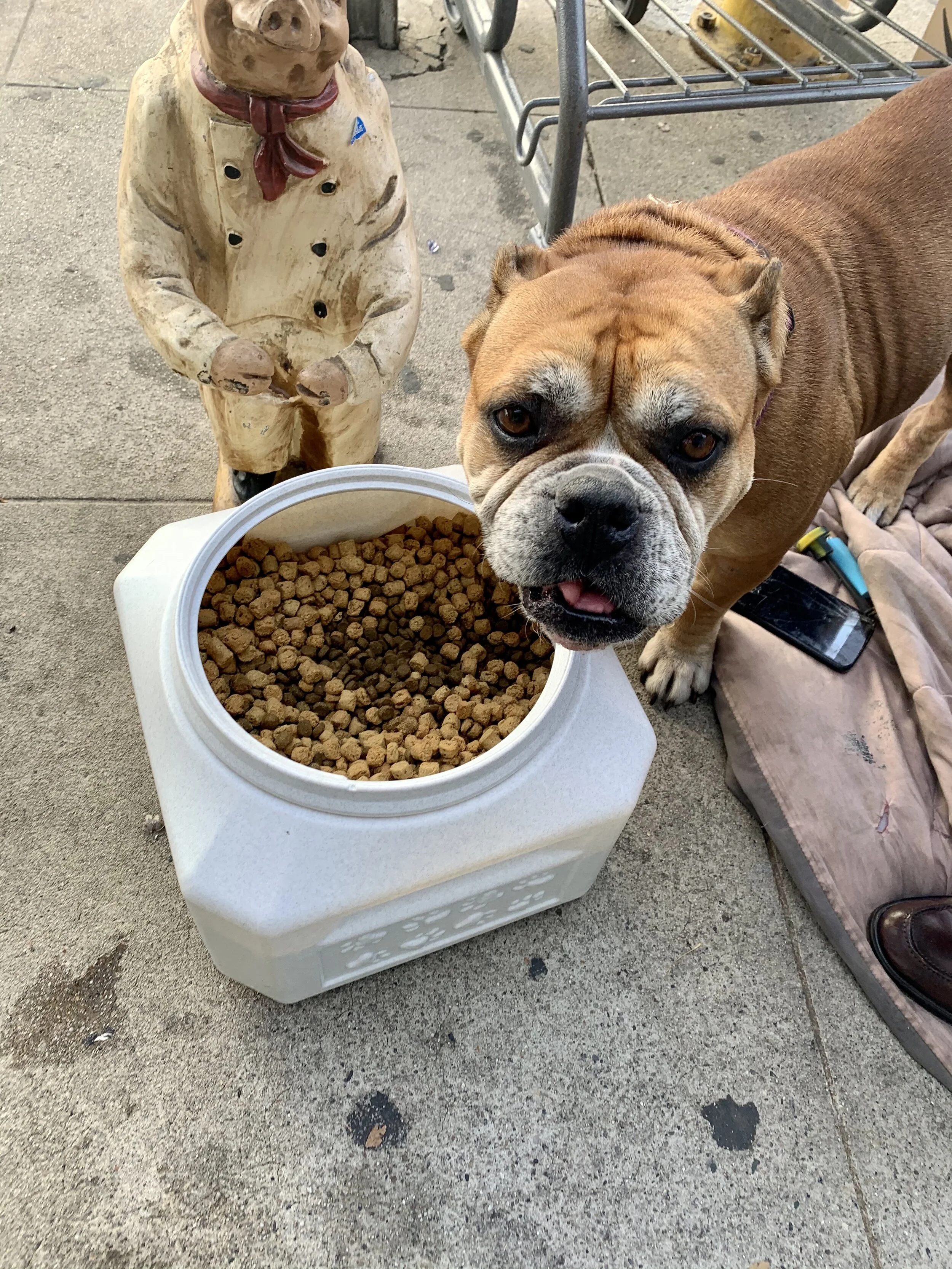 Photo Jan 12, 11 06 41 AM.jpg