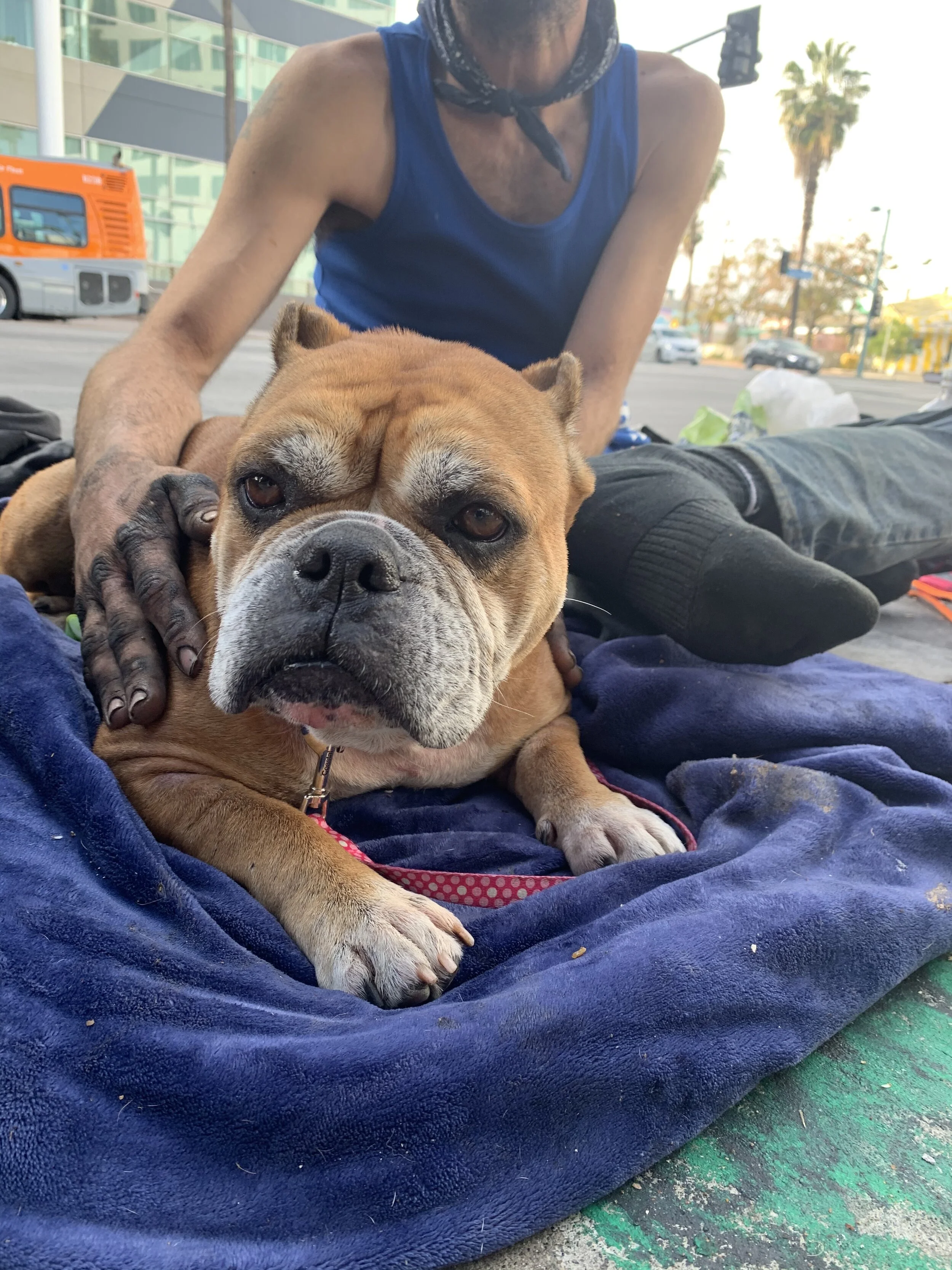 Photo Jan 07, 2 24 39 PM.jpg