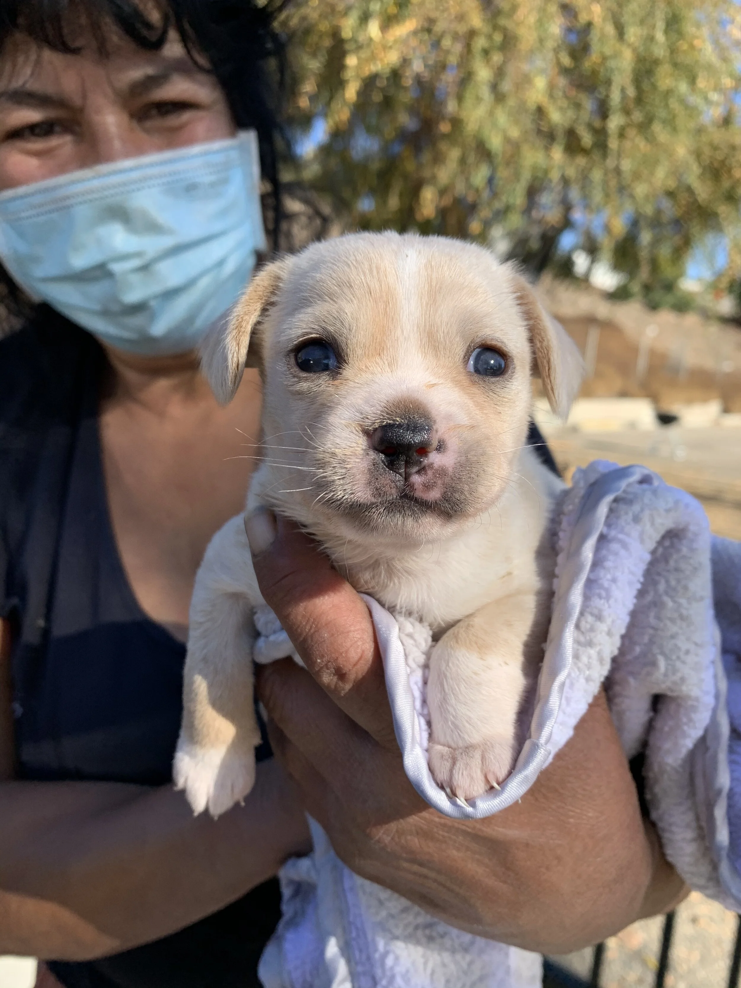 Photo Dec 05, 1 05 31 PM.jpg