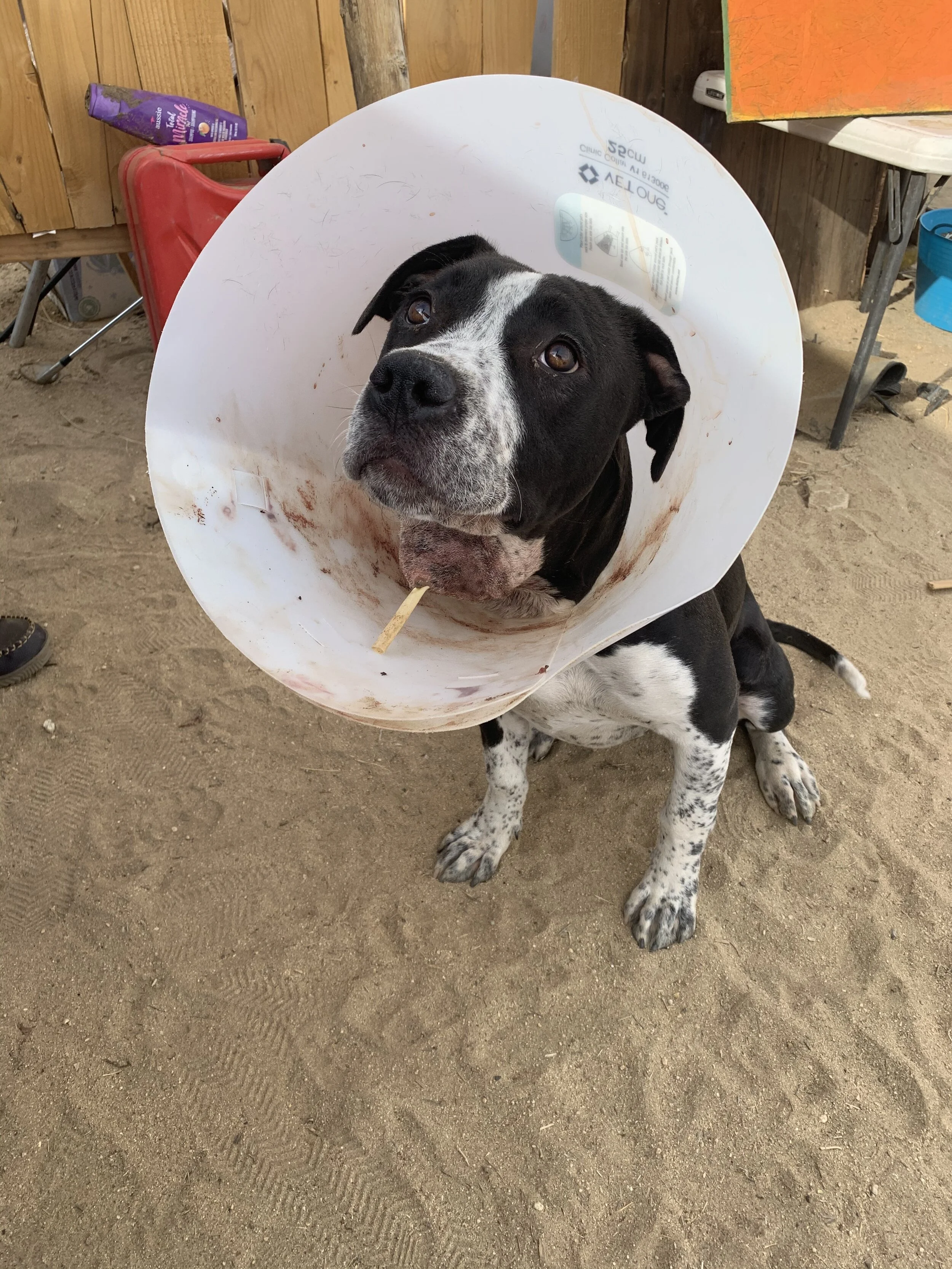 Photo Jan 07, 1 44 16 PM.jpg