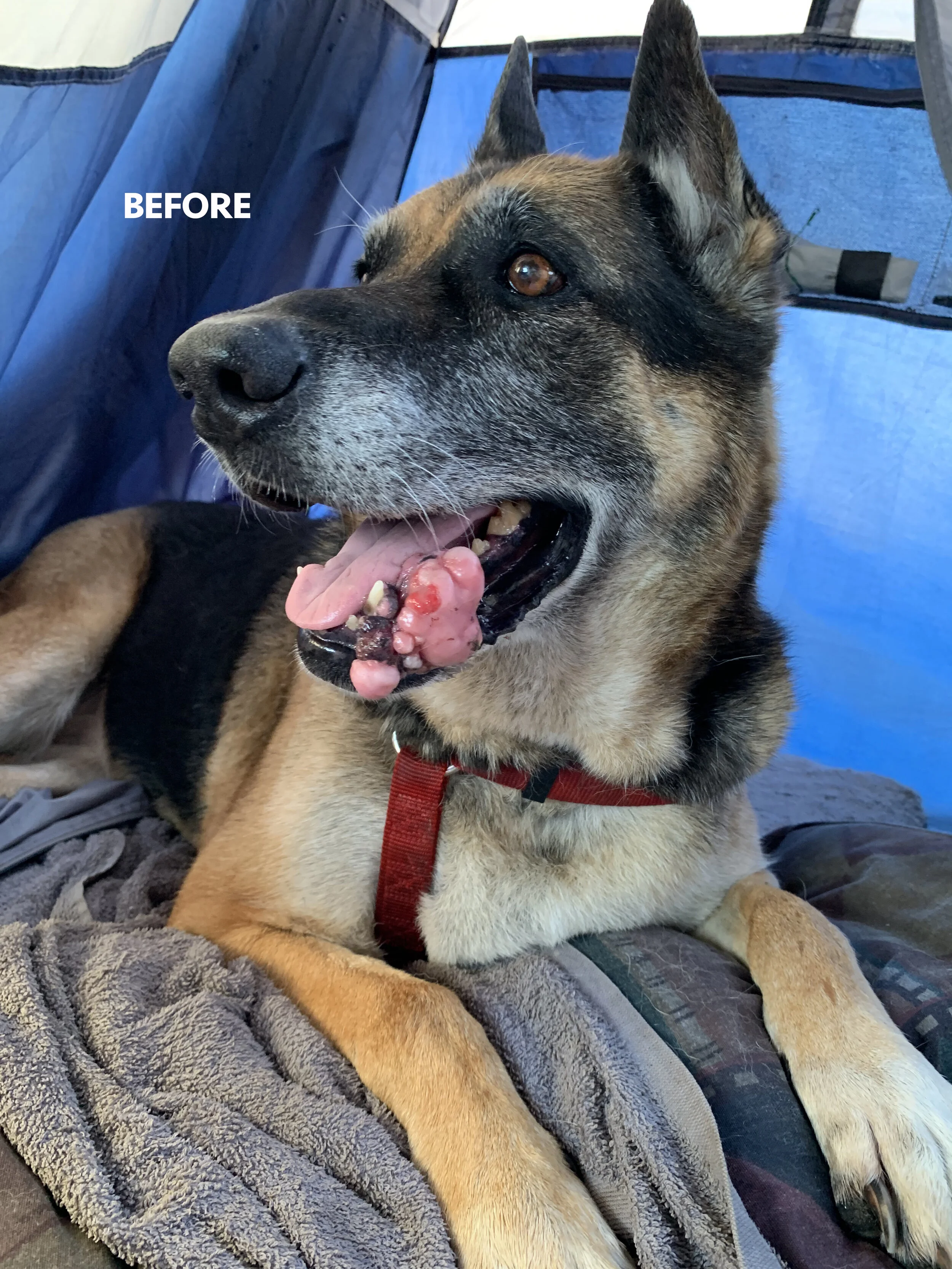 Photo Sep 05, 4 07 19 PM copy.jpg