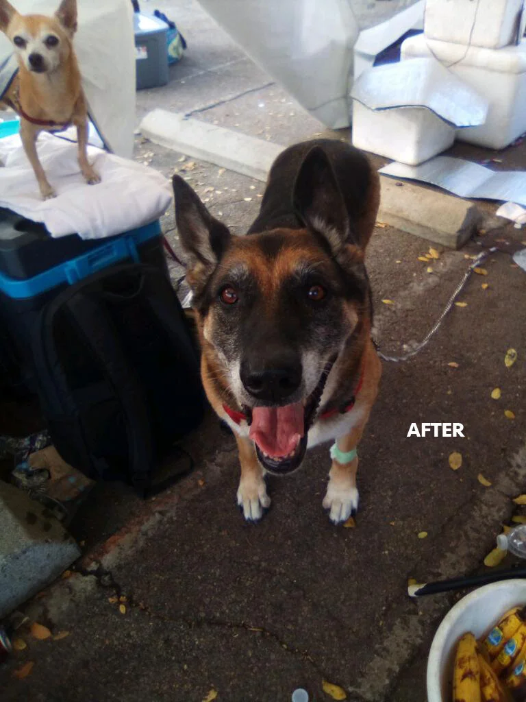 IMG_20200917_174515_0 copy.jpg