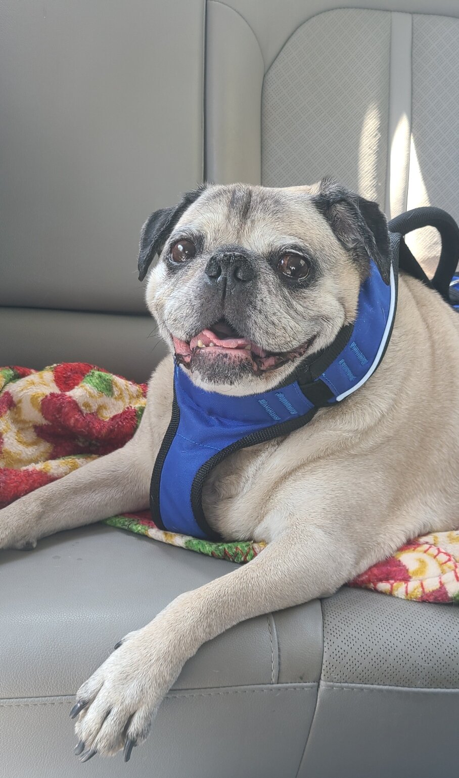 CLICK HERE FOR A TRIBUTE TO OUR GOOD BUDDY!