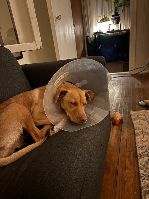 Photo Feb 13 2026, 6 06 26 PM.JPG