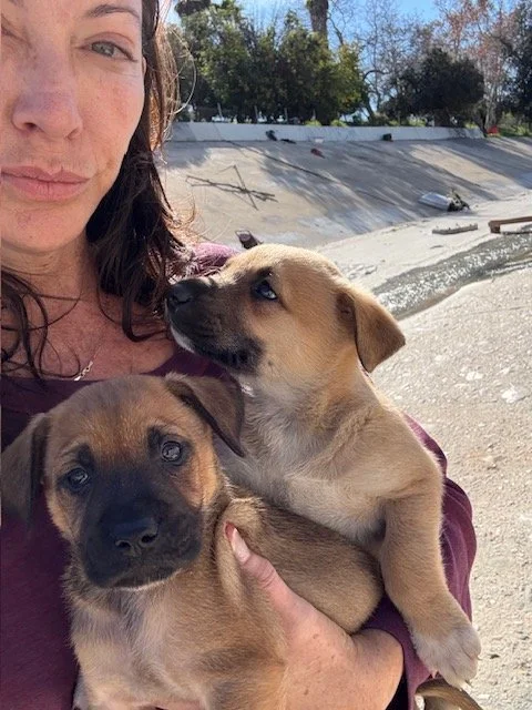 Photo Jan 20 2026, 10 54 08 AM.JPG