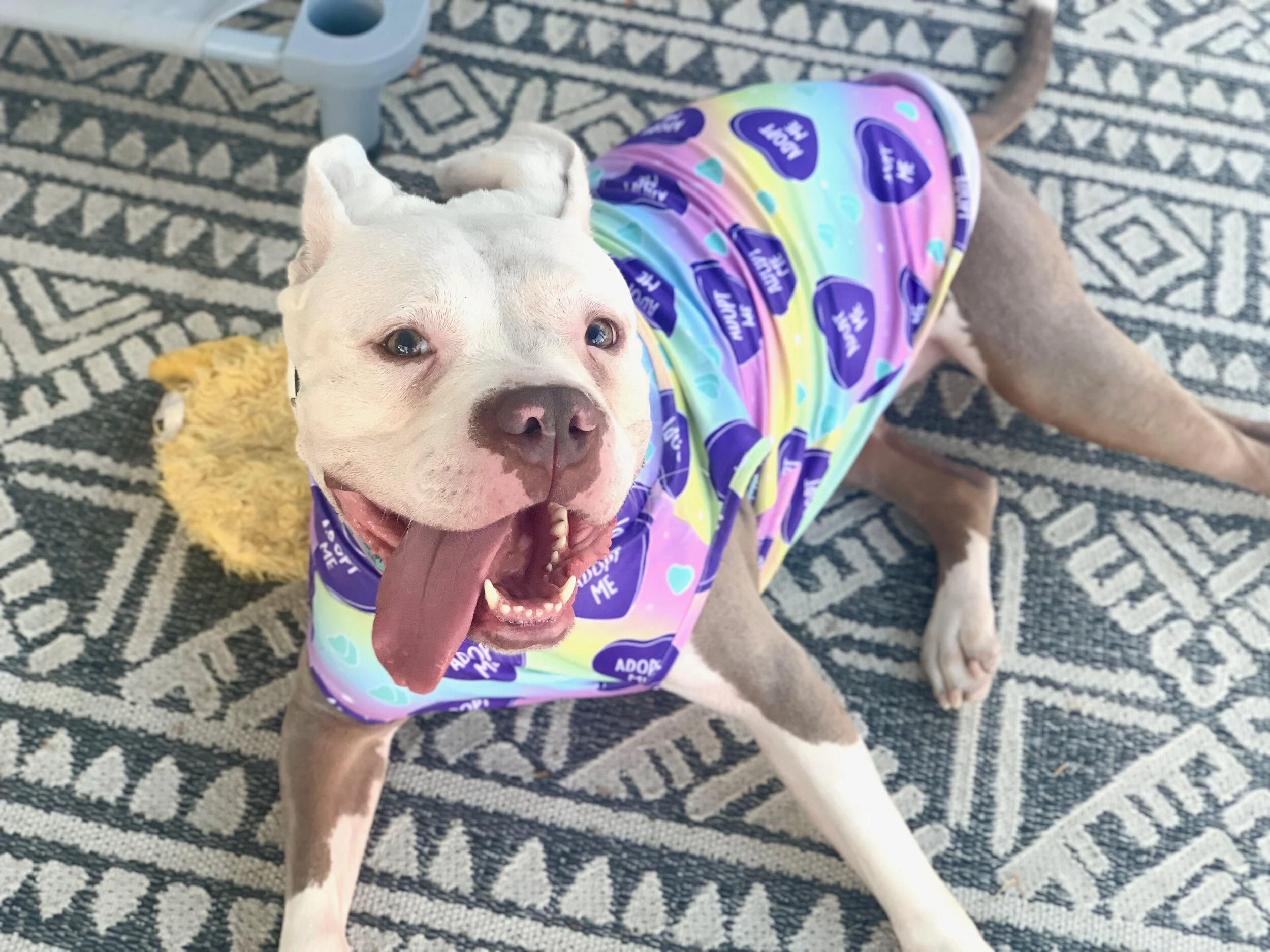 Photo Aug 08, 7 03 24 PM.jpg