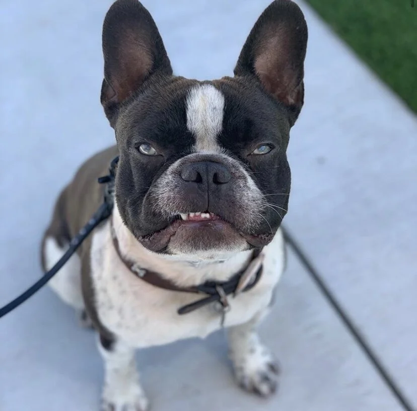 Photo May 10, 8 48 47 AM.jpg